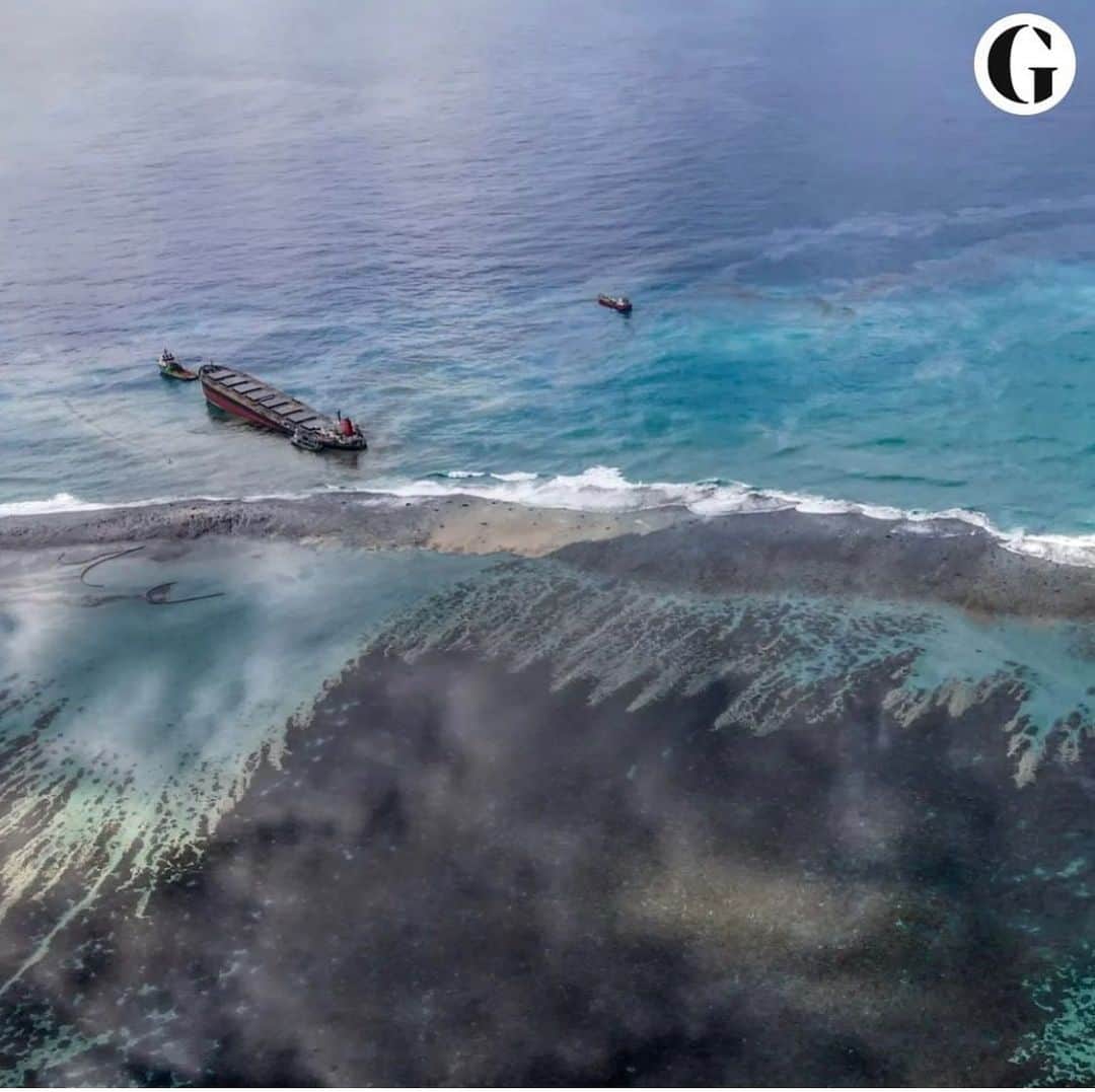 アナベル・ウォーリスのインスタグラム：「If you would like to support @mauritianwildlife as they tackle the devastating oil spill in Mauritius. You can find all the info on their website. Below is some useful information I took off the site for you. Photo taken from @guardian  #saveouroceans this lovely woman @shaliniaa has started a crowd fund too. Check out her page.   “If you would like to help financially and contribute to our Wakashio Fund you can donate online via our website https://www.mauritian-wildlife.org/donate mentioning ‘Wakashio’  You can also make a direct bank transfer to  MWF Wakashio Fund Mauritian Wildlife Foundation Mauritius Commercial Bank, Port Louis, Mauritius Swift BIC : MCBLMUMU Account number : 000 010204792 IBAN : MU52MCBL0901000000204792000MUR」