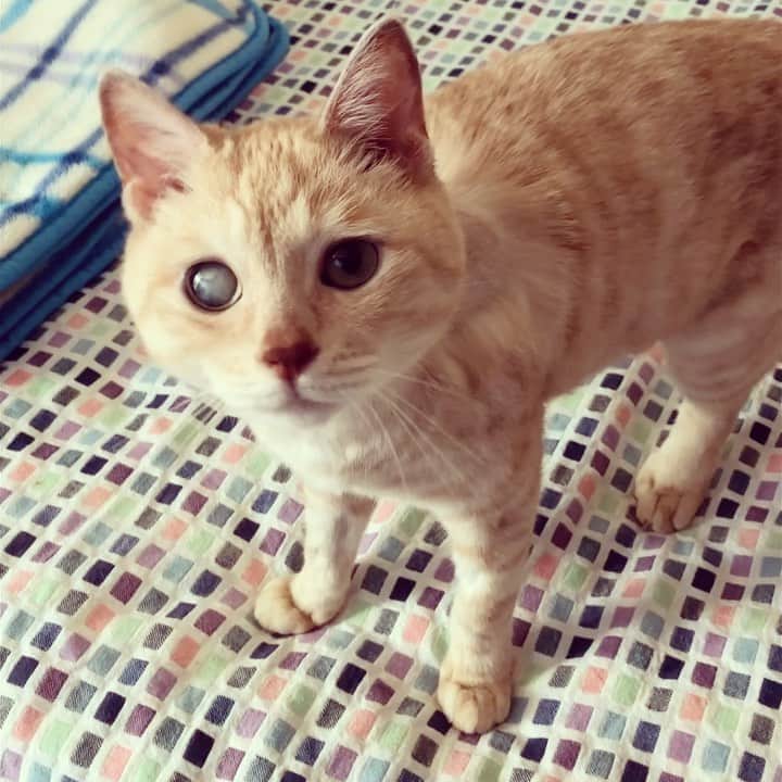 ruiruiのインスタグラム