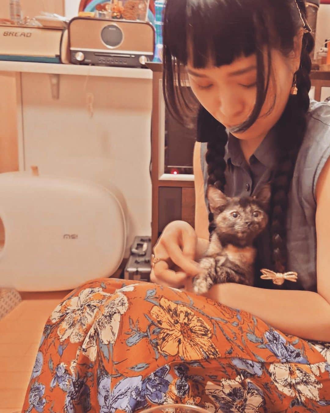 小春のインスタグラム：「食べて寝て走って食べて寝てる  #小春のアンニュイ」