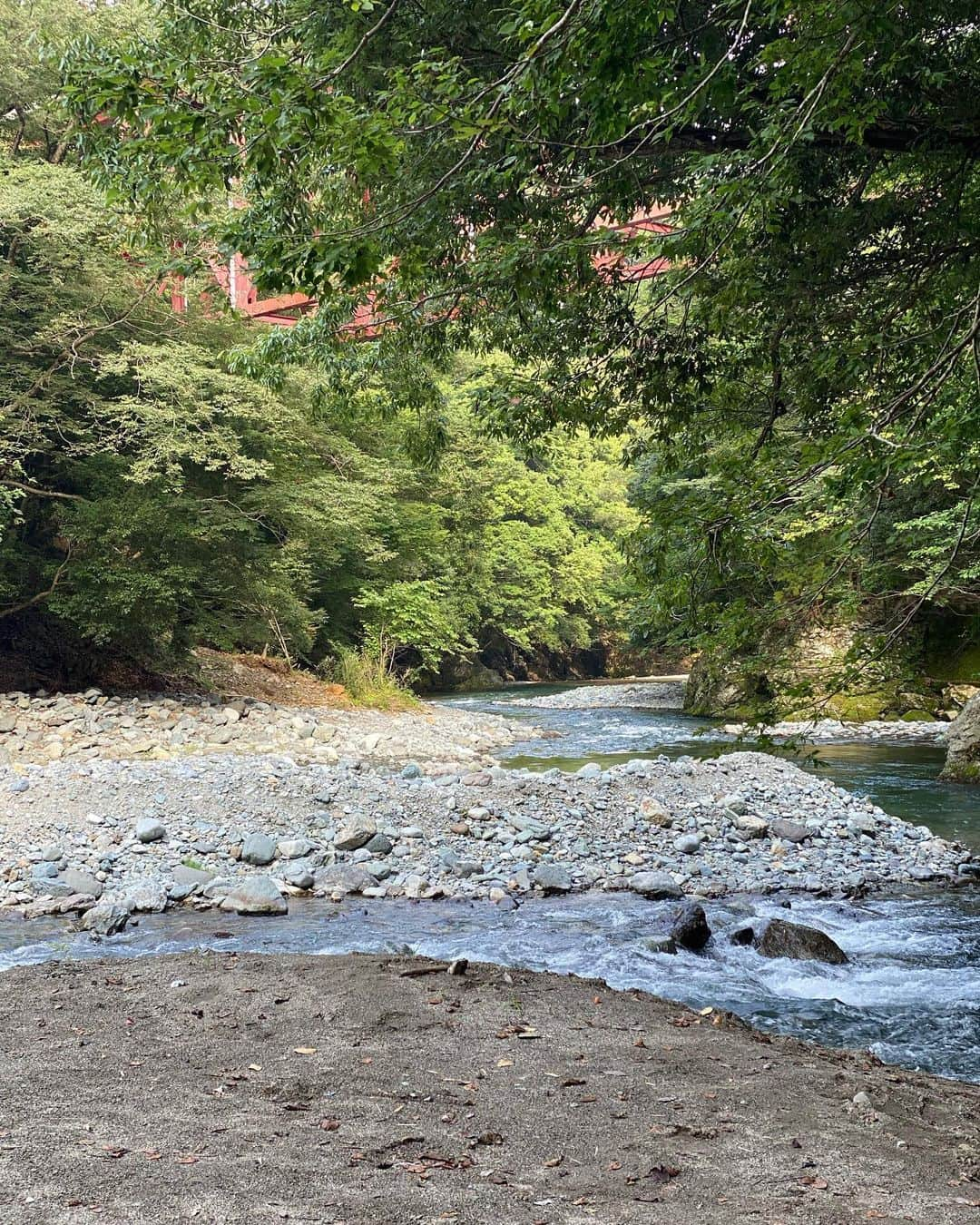 飛鳥りんさんのインスタグラム写真 - (飛鳥りんInstagram)「山と川は癒されるから好き🌲✨ 空気が気持ち良くてマイナスイオン全身に浴びてきた🧘‍♀️✨  いつも帰りたくなくなる場所😂 #自然 #愛犬と自然に癒される #愛犬とお出かけ #川」8月19日 15時09分 - asuka_rin0108