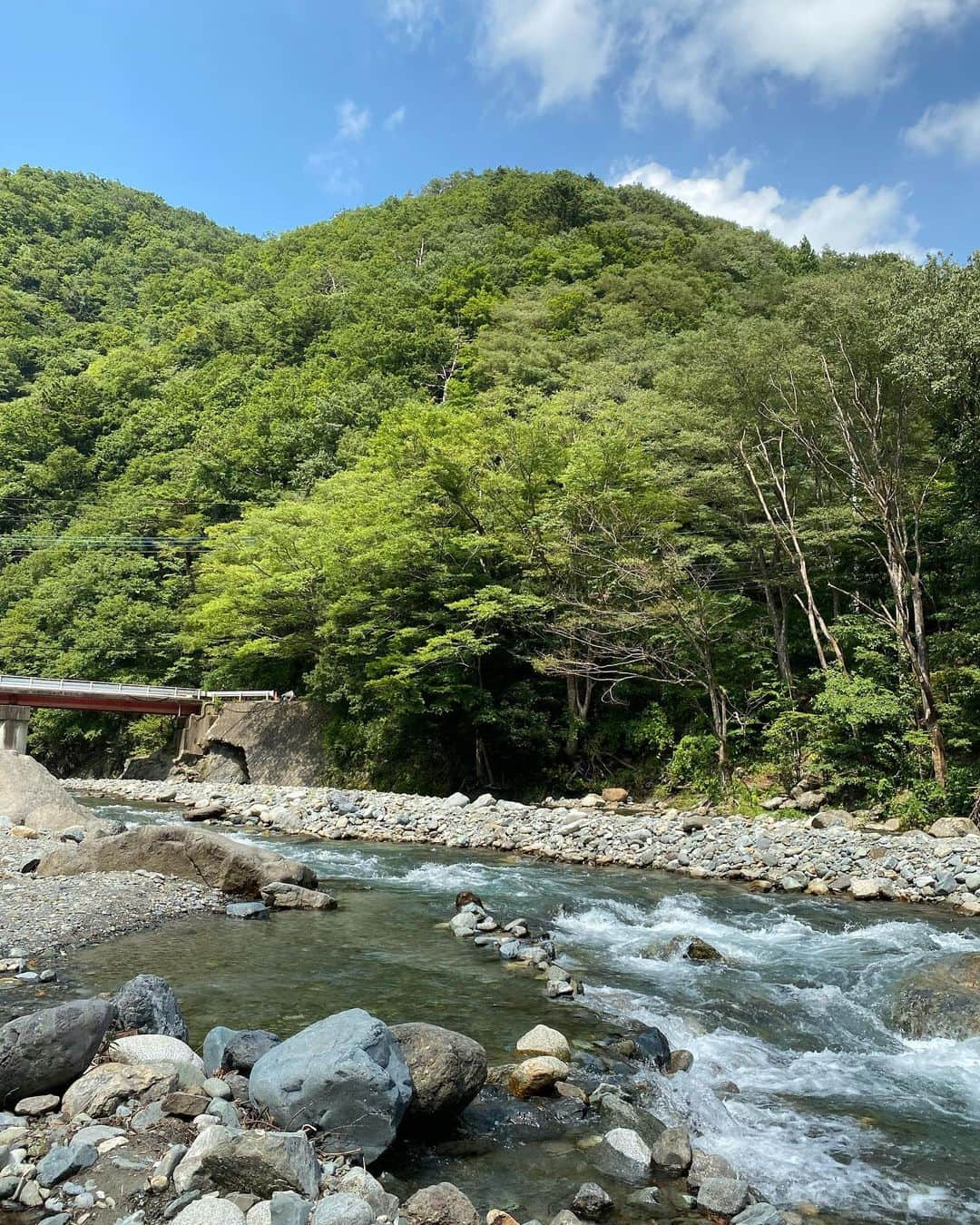 飛鳥りんさんのインスタグラム写真 - (飛鳥りんInstagram)「山と川は癒されるから好き🌲✨ 空気が気持ち良くてマイナスイオン全身に浴びてきた🧘‍♀️✨  いつも帰りたくなくなる場所😂 #自然 #愛犬と自然に癒される #愛犬とお出かけ #川」8月19日 15時09分 - asuka_rin0108