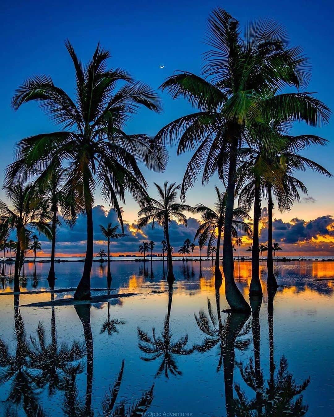 Canon Photographyさんのインスタグラム写真 - (Canon PhotographyInstagram)「Stunning Miami Sunsets. Wow!  Photography // @oaliving Curated by @steffeneisenacher  #miami #florida #sunsetphotography #sunsetmadness #reflection」8月19日 15時09分 - cpcollectives