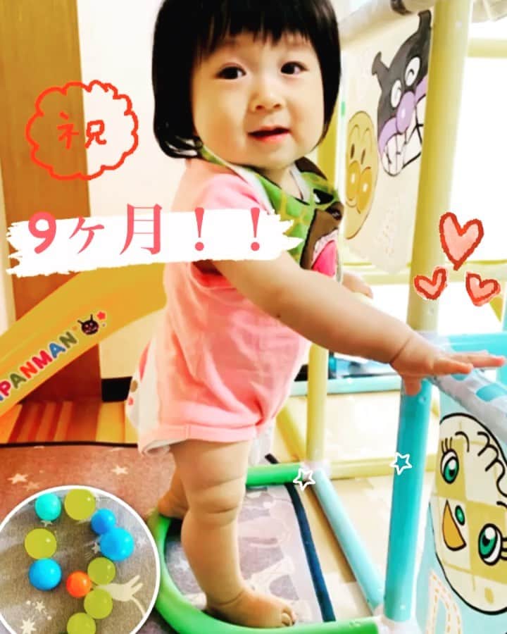 横山愛子のインスタグラム：「あっという間に9ヶ月❗️❗️ 離乳食も8ヶ月から3回食にしたので、モグモグ食べてくれるし^ ^ 日中断乳もスタート👌👌 といっても母乳断乳！！朝から夜まで一度もあげず、離乳食とミルクのみに🍼　 それから、添い乳で朝寝・昼寝・夜寝させるのもやめました❗️❗️❗️ ミルク作るのめんどくさいし、抱っこ紐して寝かせるのは身体に負担かかるけど💦  添い乳をやめたくて、授乳も少し億劫になってきたので、いいタイミングかなと実戦^ ^ 2日間成功していて、添い乳で寝かせなくなってから、夜中もぐっすり寝てくれるようになった😍😍 これが続くといいけど…… 断乳は子供にとっては可哀想な事かもしれないけれど、寝られる！というプラスもある^ - ^  あとは、私がおれずに続けないと😣結局は私の頑張り次第だからなぁ💦💦 日中断乳成功したら、次は夜間断乳だなぁ！ まだ夜泣きもないし…このまま無いといいけど(^｡^) #9ヶ月 #日中断乳」