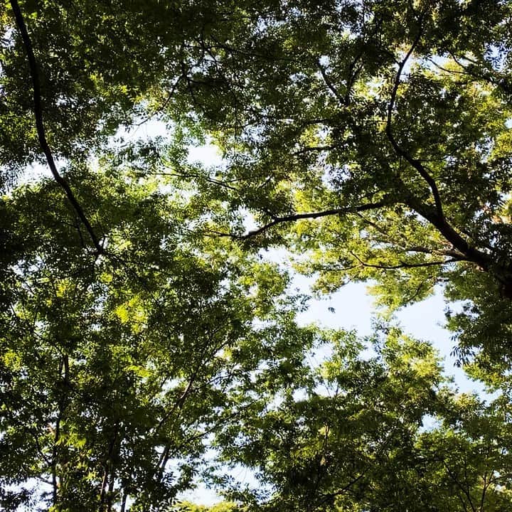 浅岡雄也のグルメインスタ