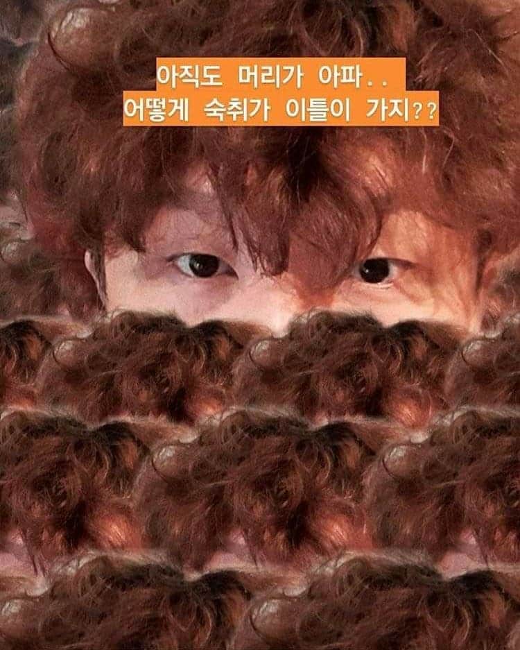 チョンギゴのインスタグラム：「주인이 없어 관리가 안된 푸들컷 🐶 에서 다시 사람으로... 항상 사람 만들어주는 #rue710 우리 옥재쌤 고마워! 🙏🏻」