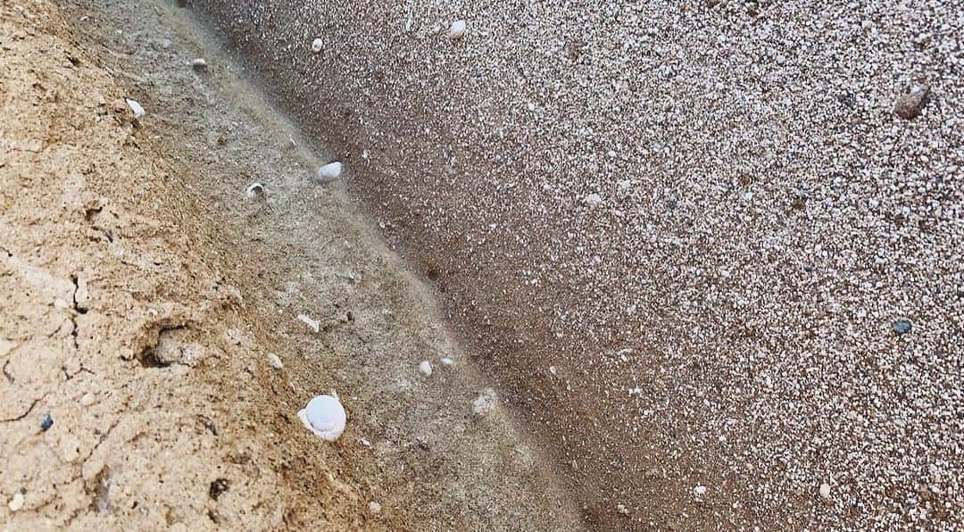 のインスタグラム：「Good morning☀️ 「おはよう」って言葉すき😊」