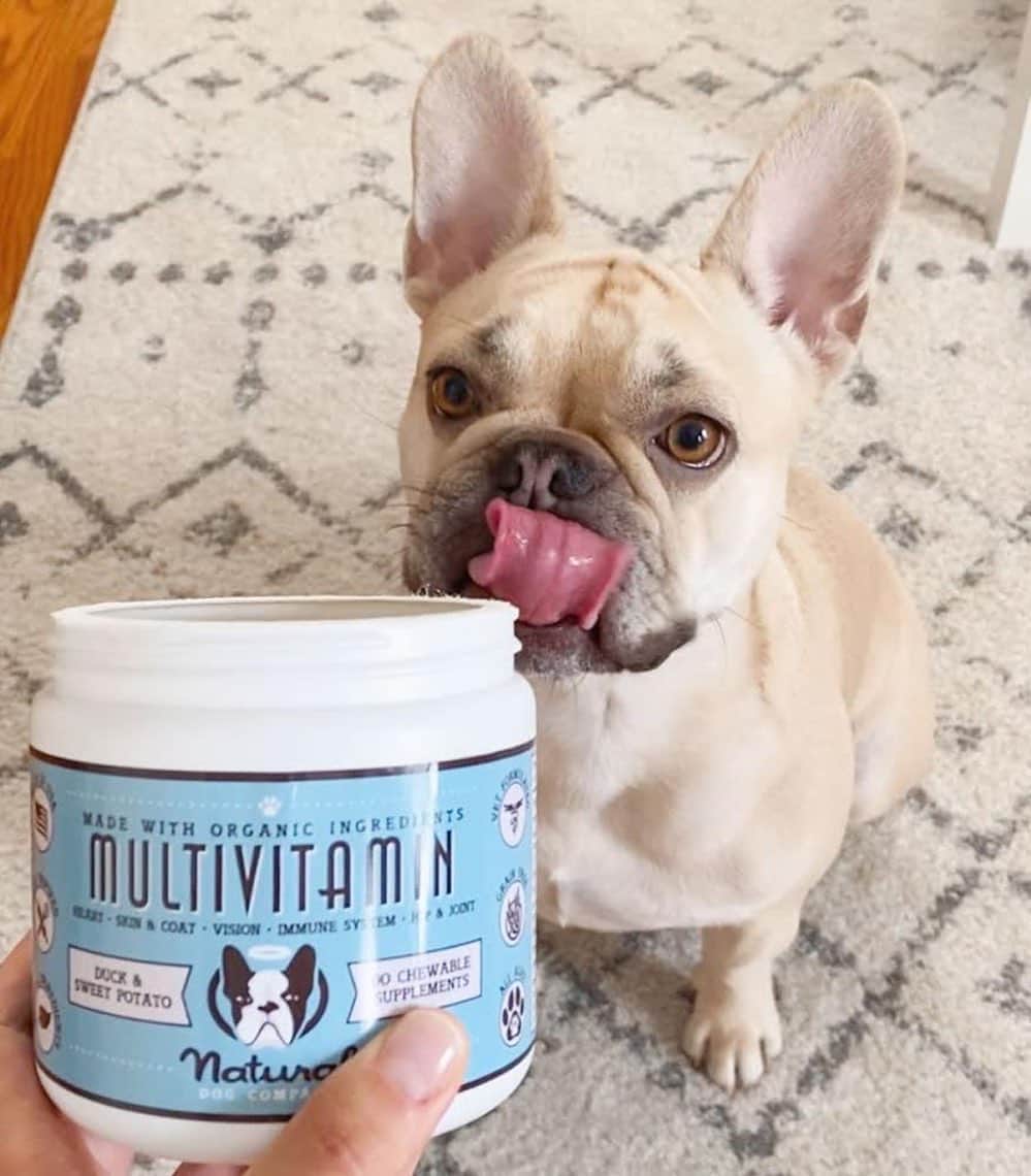 Regeneratti&Oliveira Kennelさんのインスタグラム写真 - (Regeneratti&Oliveira KennelInstagram)「Supplements are a great way to help your dog live their absolute best life. The #Multivitamins from @NaturalDogCompany are a perfect place to start. These natural and safe vet-approved vitamins are great for supporting everything from digestion, skin & coat, joints, stiffness, and overall balance/wellbeing. . ⭐ SAVE 20% off @naturaldogcompany with code JMARCOZ at NaturalDog.com  worldwide shipping  ad 📷: @kimchisworld . . . . . . #frenchie #frenchbulldog #buhi #frenchielove #frenchbulldogsofinstagram #frenchiesofinstagram #frenchbulldoglovers #frenchbulldoglife #dailyfrenchie #bullieslife #dog #puppy #instagood  #pet #animals #frenchies1  #photooftheday #dogsofinstagram #instagramdogsi #dogstagram #dogoftheday  #adorable #doglover #instapuppy #instadog #buzzfeed」8月19日 8時03分 - jmarcoz