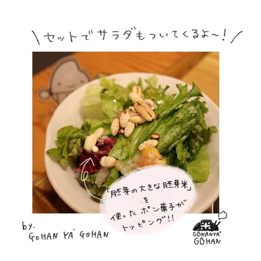 ミツハシくん-Mitsuhashi Rice-さんのインスタグラム写真 - (ミツハシくん-Mitsuhashi Rice-Instagram)「🍛🍛🍛カレーを食べよう🍛🍛🍛 * まいにち暑いね～！（・u・）☀ みんな、元気にしてるかな？？ * 夏バテ予防にカレーを食べて スタミナをつけよう～！💪🌟 * みなとみらいの定食屋 GOHANYA'GOHANで 鶏かつカレーを食べたよ～！ * ピリ辛スパイシーなルーと 玄米ごはんの相性が抜群◎ * #gohanyagohan #カレーライス #夏カレー #鶏カツ #スタミナご飯 #みなとみらい #ミツハシくん #ミツハシライス #rice #mitsuhashirice」8月19日 8時35分 - 3284rice