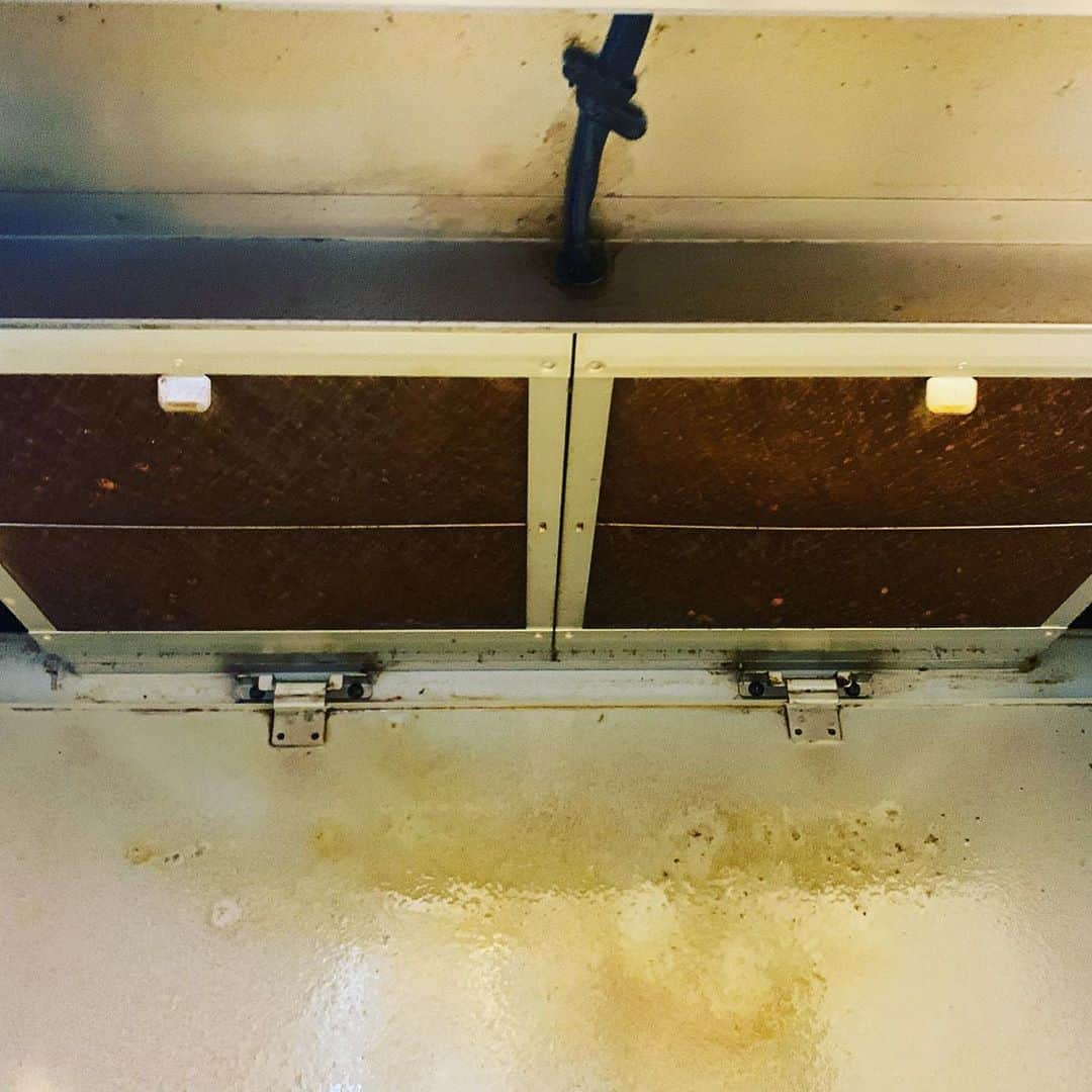 入江慎也さんのインスタグラム写真 - (入江慎也Instagram)「レンジフードのクリーニング  熱いお湯に油汚れ用洗剤をいれてしばらく、つけ置きしてから、ホワイトマンで油をうかせて綺麗に拭き取りました。  綺麗に油汚れが取れました  ピカピカに仕上がりました  #レンジフードクリーニング #ホワイトマン #洗剤 #油汚れ #ビフォー #アフター #株式会社ピカピカ」8月19日 9時20分 - oreirie0408