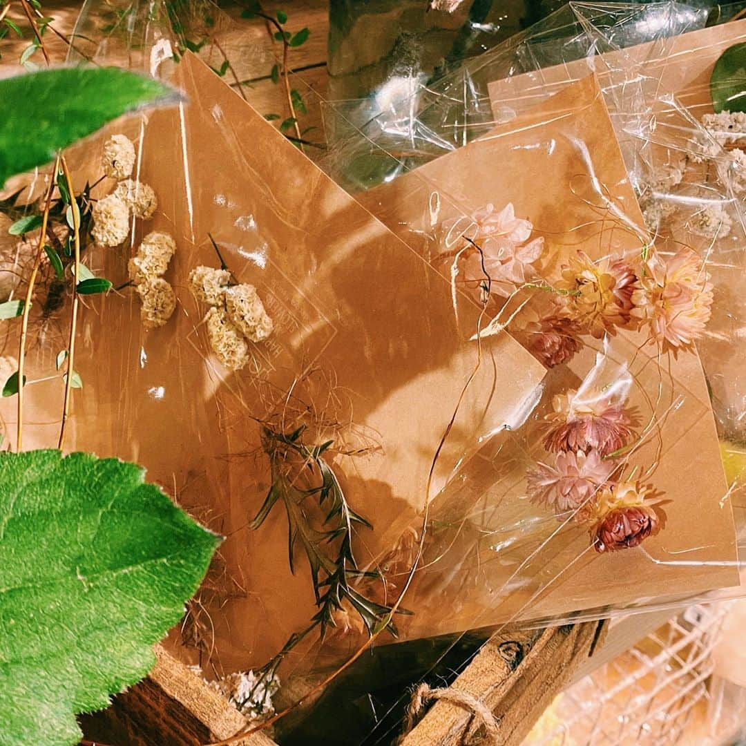 柏の葉 T-SITEさんのインスタグラム写真 - (柏の葉 T-SITEInstagram)「【PICK UP】﻿ 『今週のdecora便🌿 #6』﻿ ﻿ 〈ジャンル〉食・暮らし﻿ 〈場所〉1F 暮らし﻿ ﻿ こんにちは。﻿ ﻿ フラワーショップ デコラ @decoradecora さんから﻿ 届いたお花をご紹介するこちらのコーナー。﻿ ﻿ 今週は厳しい暑さでも管理が楽な﻿ #ドライフラワー が沢山入荷しております。﻿  ﻿ ドライフラワーの飾り方は何通りもありますが、﻿ 店頭では小さな花束を連ねて #ガーランド として、﻿ また縦に #ハンギング して揺れる様子を楽しんでいただけます。﻿ ゆらゆら揺れる様は見ているとなんだか涼しい気分になりますね。﻿ ﻿ #ローズマリー の横の#スワッグ は﻿ インテリアに取り入れやすい一品です。﻿ 様々なドライ植物が入ったお得なパックもありますよ。﻿ ﻿ お写真1枚目の #ピンクッション のような﻿ 鮮やかで夏らしいお花も並んでおります。﻿ ピンクッションは #ネイティブフラワー と呼ばれ、﻿ 硬くて長持ち、だんだんドライに変わるお花です。﻿ 名称は「針山」を指しますが﻿ その形はまるで花火のようにも見えます。﻿ ﻿ ーーーーーーーーーーーーーー﻿ 猛暑が続く日々ですが、そんな時こそ暑さに負けない﻿ お花でお部屋を飾り付けてみてはいかがでしょう。﻿ ﻿ #柏の葉蔦屋書店 #蔦屋書店 #柏の葉tsite #tsite ﻿ #夏の花 #おうちガーデン #decora ﻿ #お花のある暮らし #フラワーショップ #フラワーギフト」8月19日 9時40分 - kashiwanohatsite