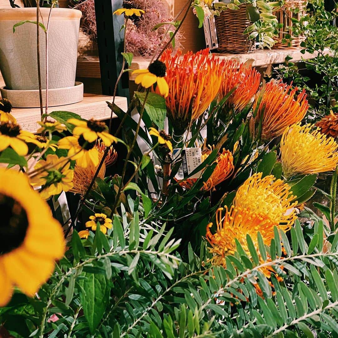 柏の葉 T-SITEのグルメインスタ