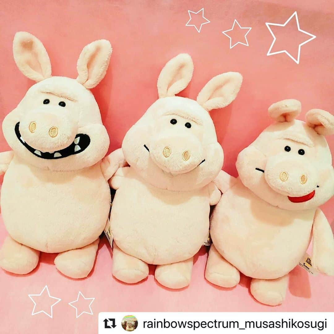 RainbowSPECTRUMさんのインスタグラム写真 - (RainbowSPECTRUMInstagram)「#Repost @rainbowspectrum_musashikosugi with @make_repost ・・・ 🌈 . ＼＼ はい、ちーず 📸 ／／ . 可愛いイタズラブタさんたちが入荷しました🐷❤️ . . イタズラブタ クラシック25㎝　各￥2,800+tax (laugh / smile / foodie) . . #RainbowSPECTRUM#レインボースペクトラム#武蔵小杉#グランツリー#プチプラ#雑貨#海外雑貨#輸入雑貨#プレゼント#贈り物#ぬいぐるみ#イタズラブタ#ニキ#ひつじのショーン #可愛い#잡화#귀엽다#knickknackshop#nici」8月19日 10時56分 - rainbowspectrum_