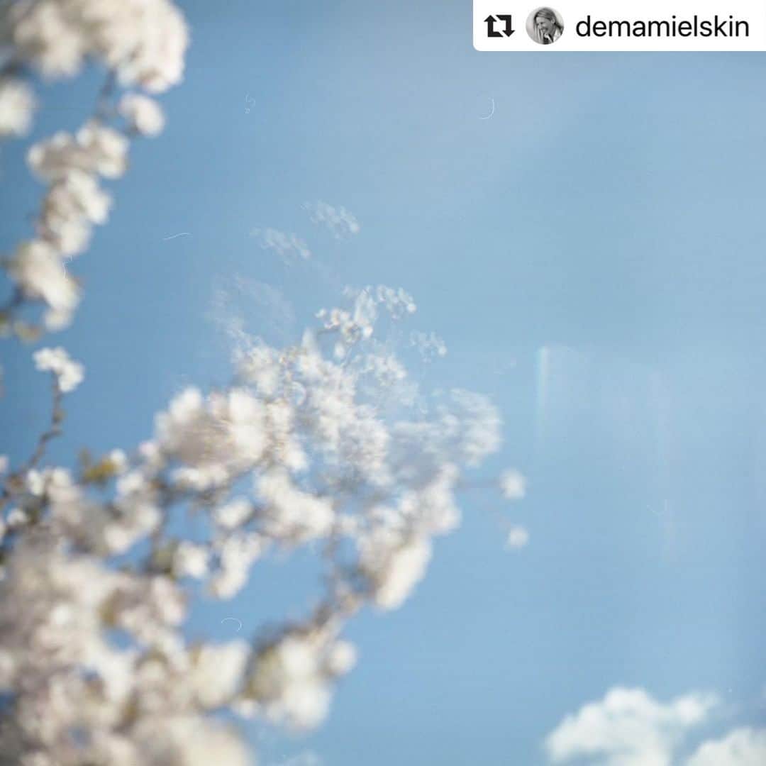 demamiel_jpのインスタグラム
