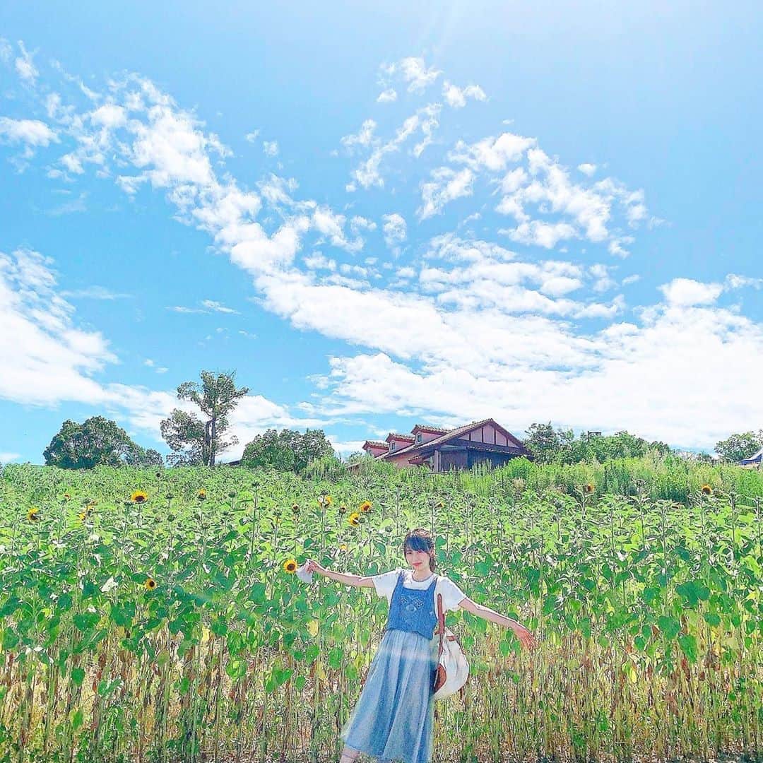 みき みーやんのグルメインスタ