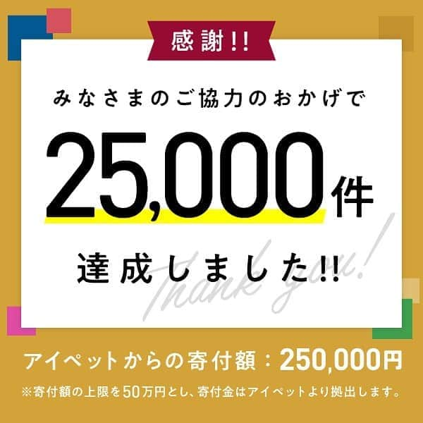 アイペット ペットスナップキャンペーンのインスタグラム