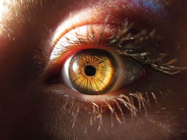 Alice Wegmannのインスタグラム：「dá o zoom 🌻」