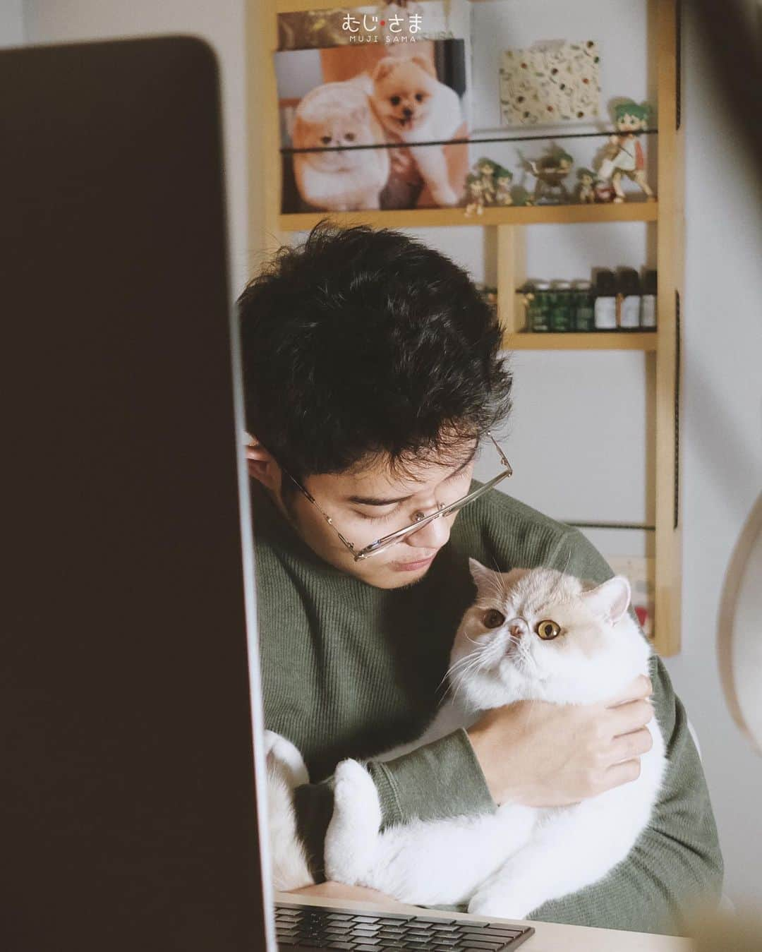 むじさまさんのインスタグラム写真 - (むじさまInstagram)「Working on duty with my partner in crime 👨🏻‍🦱🐱@mujisama @mumaruu #cat #kitten #catsofinstagram #cats_of_instagram #cats #catlovers #exoticshorthair #cats_of_day」8月19日 13時22分 - mujisama