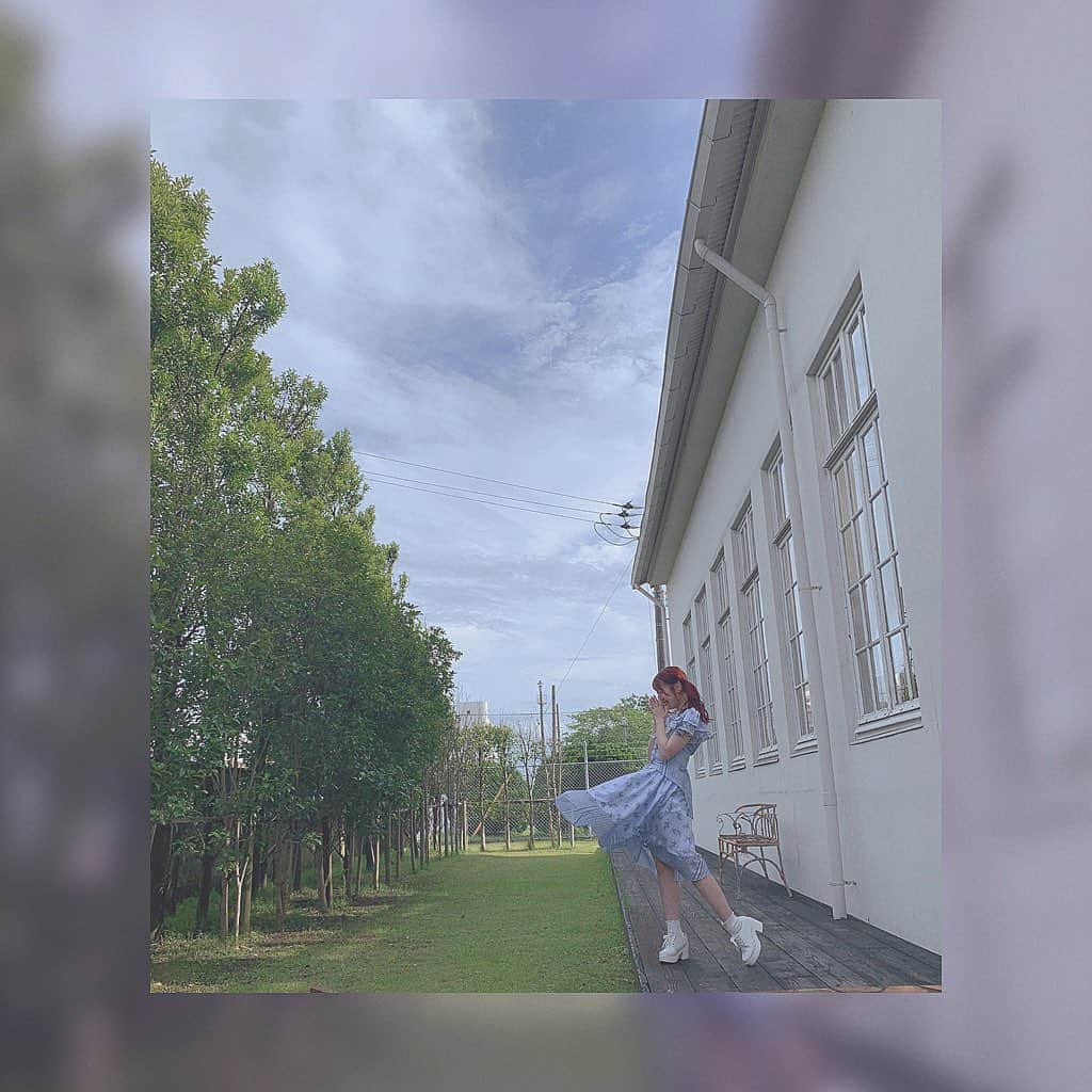 のインスタグラム：「☁️﻿ ﻿ ﻿ ﻿ ﻿ 青春の全部に﻿ 君がいる﻿ ﻿ ﻿ ﻿ ﻿ ﻿ ﻿ ﻿ ﻿ ﻿ ﻿ #mv #offshot #tb #photography #sunnyday #summer #botanical #companella」