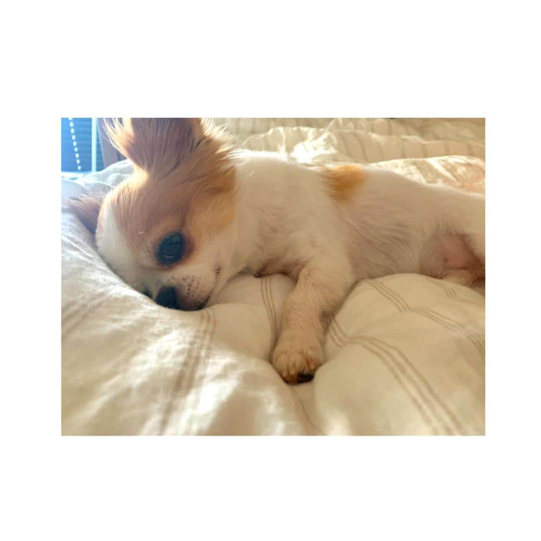 篠原まりあのインスタグラム：「__________** . . ｌｏｖｅ 🥀 .」