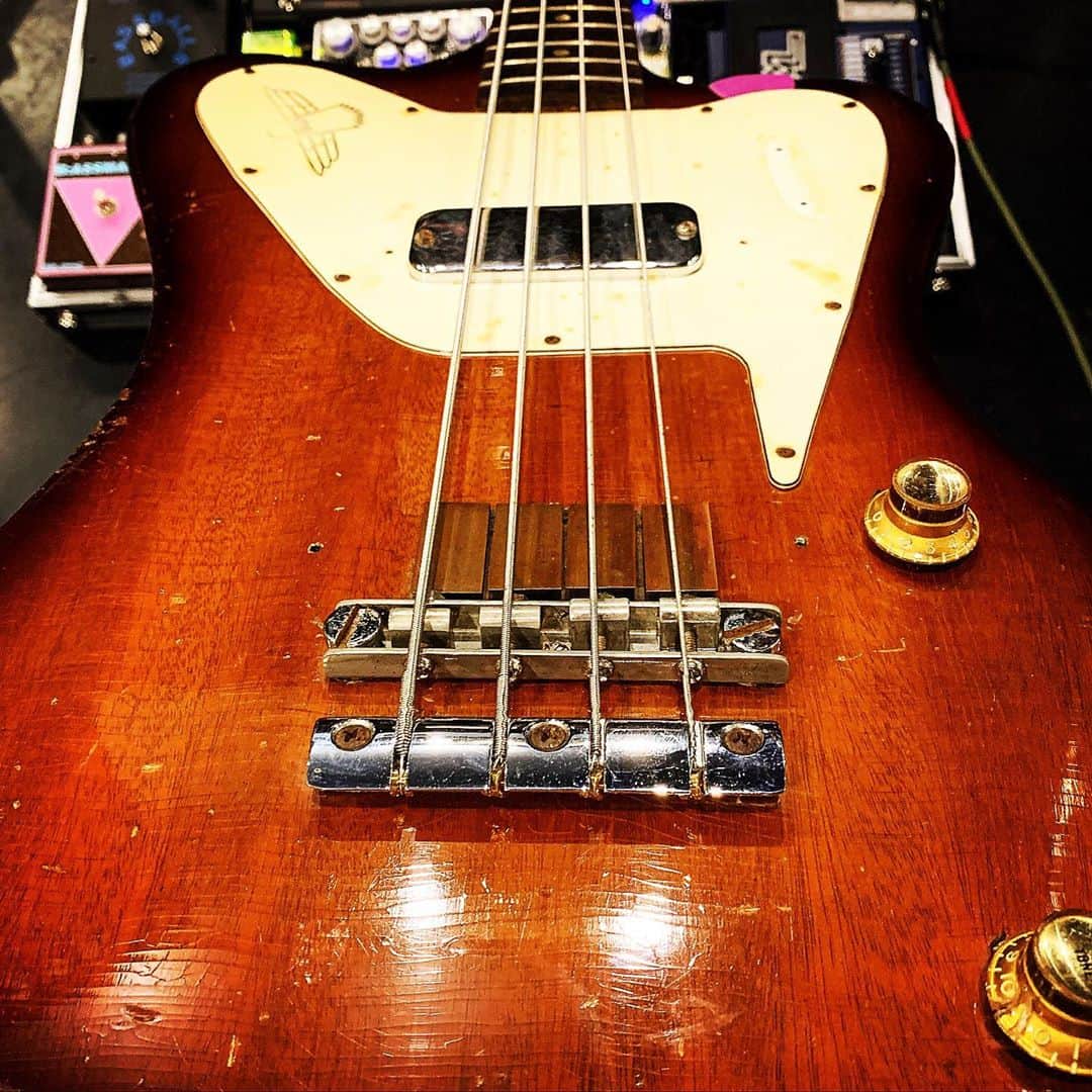 のインスタグラム：「There is no other beautiful Bass like this!  久しぶりに古閑さんからお借りしてるビンテージのノンリバースサンダーバードをスタジオに持って行ってみました。 やっぱりめちゃくちゃ弾きにくいけど、暖かい音出ますね。 流石。  いよいよ21日は下北沢にてライブです。 カバーあり、新曲あり、アコースティックありの盛り沢山の内容になっていますので、会場にお越しの人も、配信で観てくれる人も、みんなで楽しい夜にしましょう！  #Bentham #bass #bassist #bassplayer #electricbass #bassguitar #bassgram #bassporn #vintage #vintagebass #vintagegibson #gibson #thunderbird #thunderbirdbass #ネックが長過ぎてこんなに一弦をチューニングするのに疲れるベースは他にない」