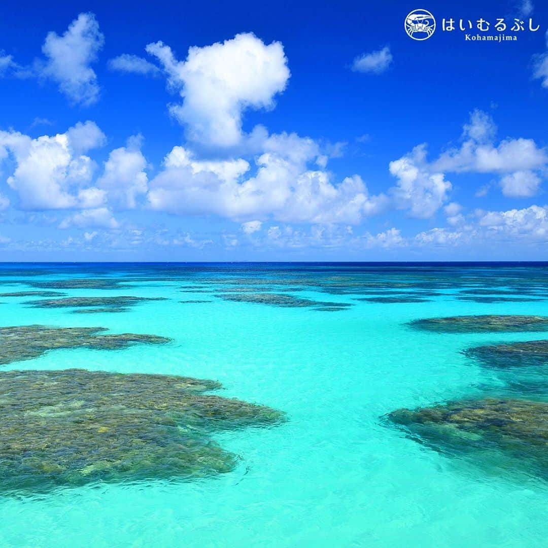 HAIMURUBUSHI はいむるぶしさんのインスタグラム写真 - (HAIMURUBUSHI はいむるぶしInstagram)「小浜島・はいむるぶしから癒しの風景をお届けします。 有人島としては日本最南端の波照間島。 島の周囲は波照間ブルーと呼ばれる美しい海に囲まれた南海の楽園… 白い砂地に点在するサンゴ礁と美しい青い海の景色に癒されます。 #沖縄 #八重山諸島 #波照間島 #サンゴ礁 #海 #小浜島 #リゾート #ホテル #はいむるぶし」8月20日 0時28分 - haimurubushi_resorts