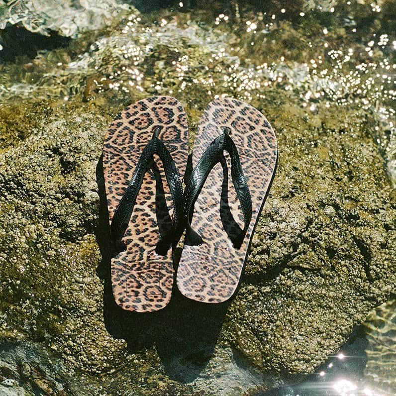 Havaianas Europeさんのインスタグラム写真 - (Havaianas EuropeInstagram)「Havaianas and Saint Laurent have created a new flip-flop, with a leopard print and black straps. This special Brazilian flip flop turned into a timeless print available exclusively at Saint Laurent Rive Droite. #saintlaurentrivedroite @ysl @anthonyvaccarello」8月20日 1時03分 - havaianaseurope