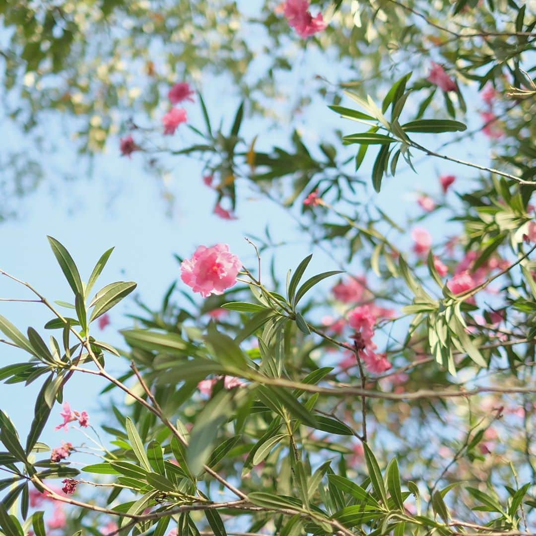 奈良 長谷寺 / nara hasederaのグルメインスタ