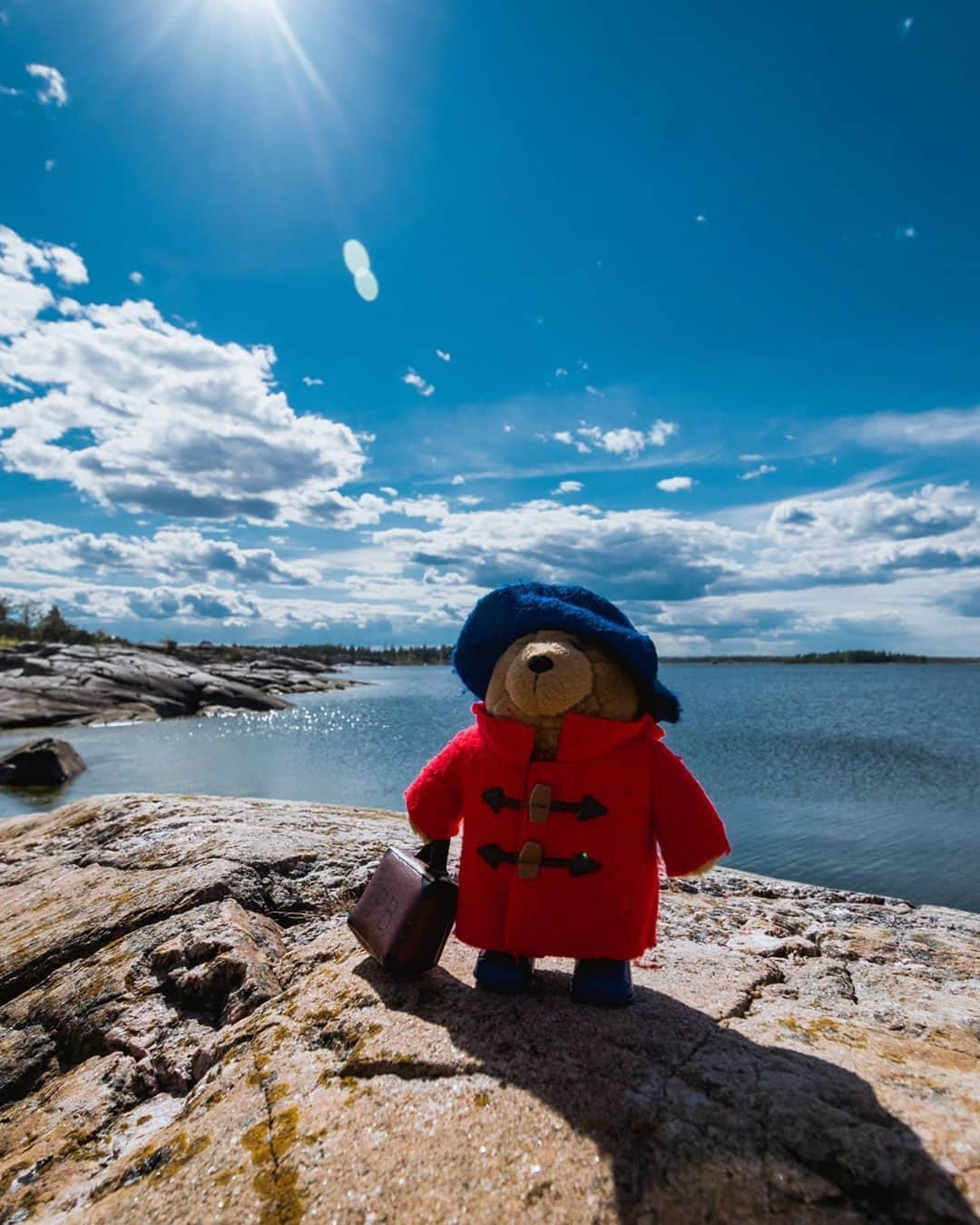 Paddington Bearさんのインスタグラム写真 - (Paddington BearInstagram)「Paddington is one for adventures but this little bear has recently visited Sweden! 🇸🇪⁣ ⁣ Where in the world have you taken your Paddington Bear?⁣ ⁣ #WorldPhotoDay   📸 @abearcalledpaddington」8月19日 16時32分 - paddingtonbear