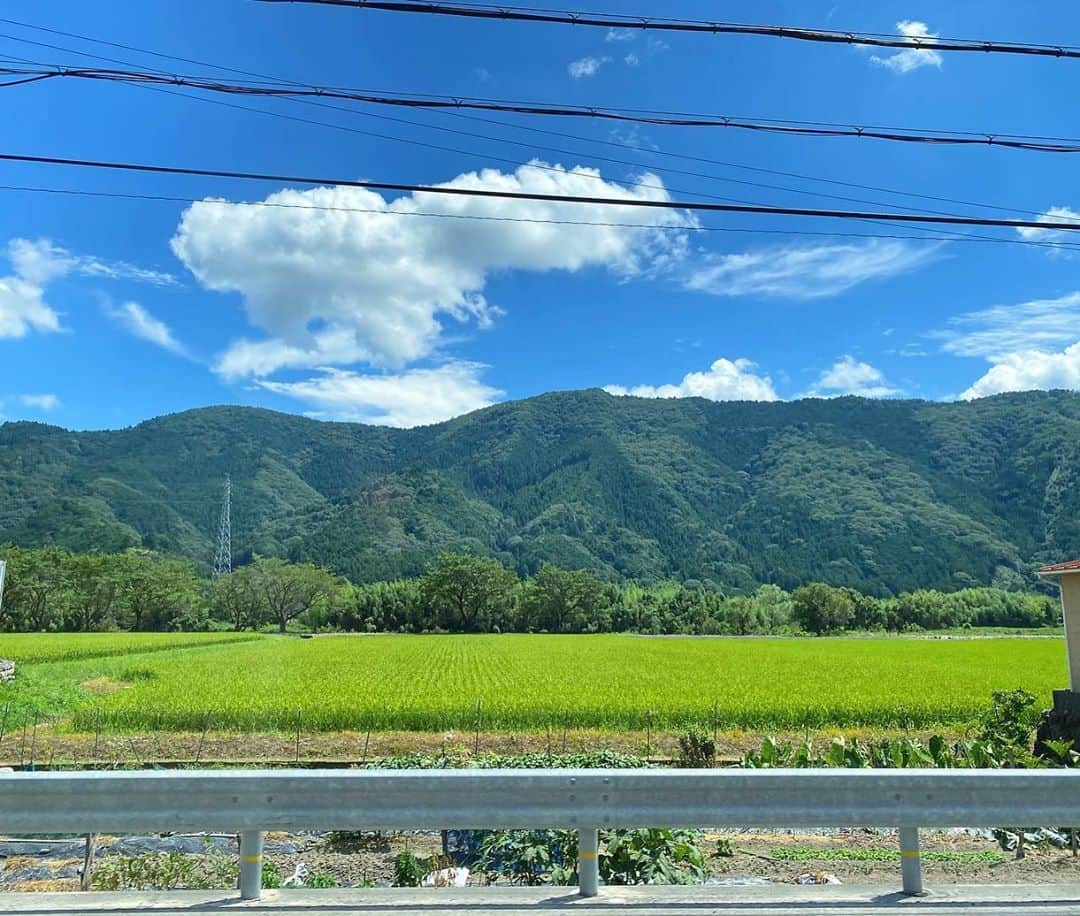 野嶋紗己子さんのインスタグラム写真 - (野嶋紗己子Instagram)「今日もちちんぷいぷい、しみのじコーナー﻿ ご覧頂きありがとうございました☺️﻿ ﻿ 今回は兵庫県宍粟市(しそうし)を新発見🍎！！﻿ 平均気温が大阪よりおよそ3.5度も低いということで、避暑地として訪れる方も多いのだとか！！﻿ ﻿ 大阪から車でおよそ2時間。﻿ 自然・水上アクティビティ・美味しいお酒やご飯・りんご狩り・風情ある宿など、楽しめることが盛り沢山！！※詳しくは、ちちんぷいぷいHPで🍀﻿ ﻿ 暑さや「密」を避け、﻿ 宍粟市で素敵な夏の思い出を🏞☺️🌸﻿ ﻿ 来週は清水アナウンサーの担当です^^﻿ お楽しみに！﻿ ﻿ #ちちんぷいぷい#しみのじ#兵庫県#宍粟市﻿ #音水湖#酒蔵通り#サップヨガ#りんご狩り」8月19日 17時19分 - nojima_sakiko