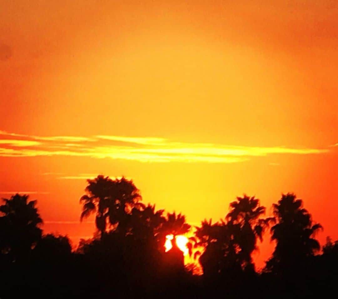 のインスタグラム：「🌴🌄🌴❤️☺️🌎❣️❣️ #LA#sunset#travel#nature# #lifestyle #beauty #fashion #risahirako#平子理沙」