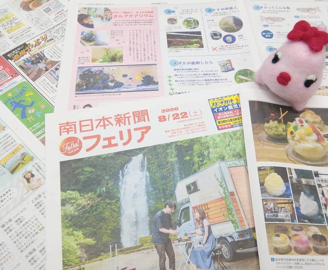 南日本新聞フェリアのインスタグラム