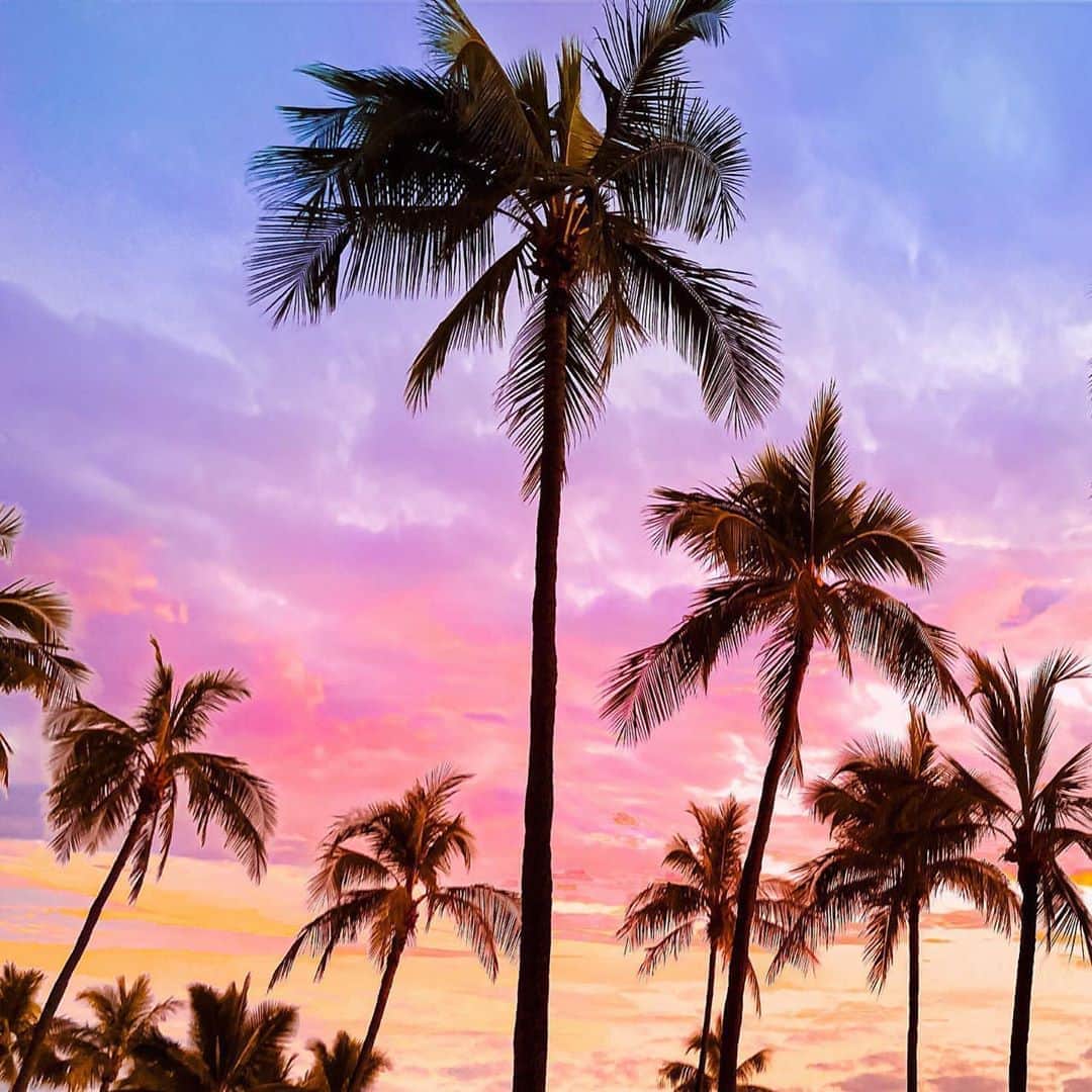 ANAさんのインスタグラム写真 - (ANAInstagram)「心地よい風に吹かれて🌴﻿ （Photo：@pucuk_ryoco）﻿ ﻿ #虹色サンセット #心地よい風 #癒されて #タビキブン #次行きたい旅スポット #ハワイ旅行 #ホノルル #夕暮れ #夕焼け #レインボースカイ #ヤシの木 #ハワイ好きな人と繋がりたい #ハワイに恋して #anaタビキブン #sunset #sunset_pics #palms #palmtrees #rainbowsky #photo_beaches #hawaii #hawaiistagram #hawaiitrip #japantrip #ana_jp ﻿ ﻿ 旅の思い出は「#anaタビキブン 」をつけて投稿してね☺️インスタやANAの各メディアでご紹介していきます✨」8月19日 17時33分 - ana.japan