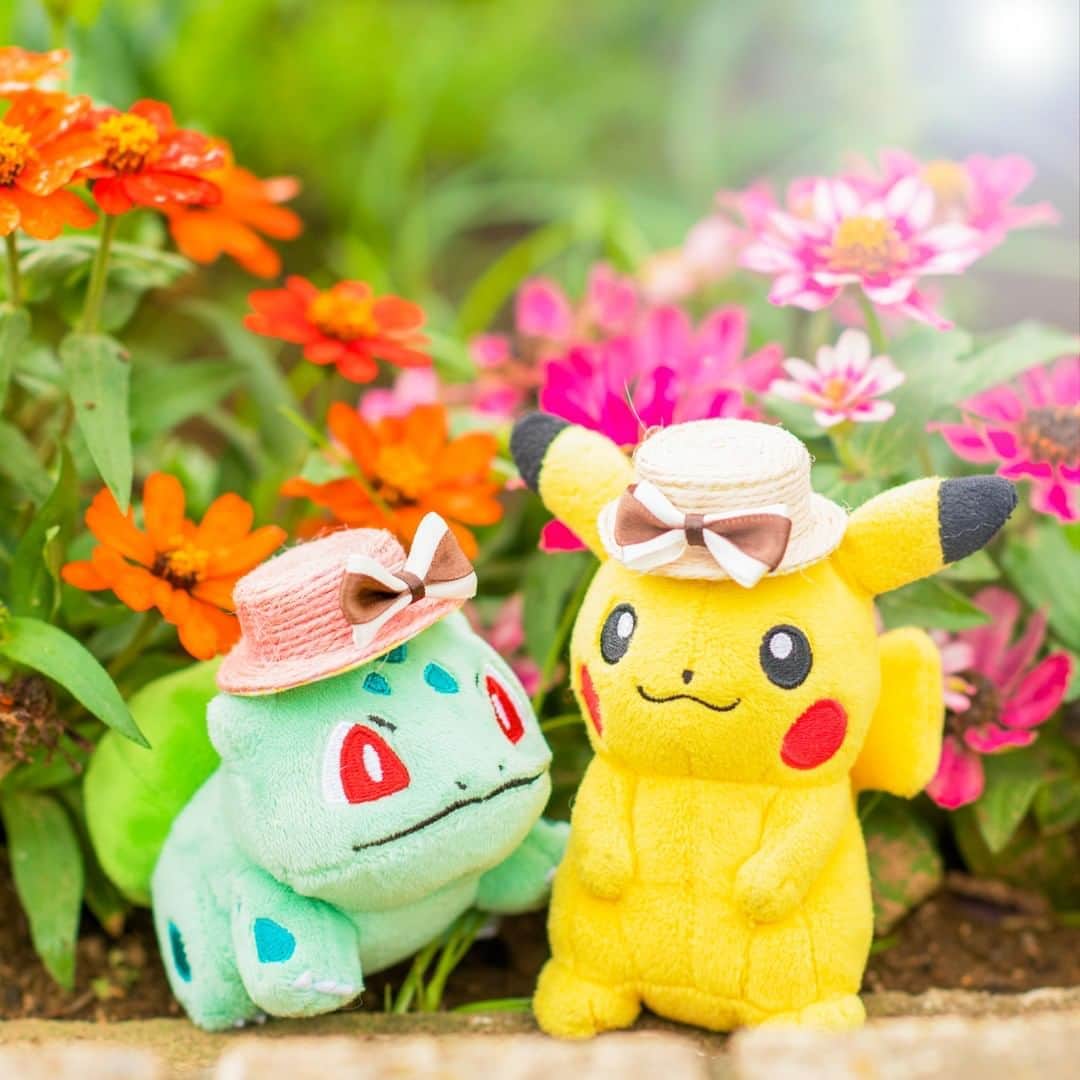 ピカチュウ公式Instagramさんのインスタグラム写真 - (ピカチュウ公式InstagramInstagram)「【今日のピカチュウ】 フシギダネとおさんぽチュウ🎶 お揃いの帽子がよく似合っているね👒✨ #pikachu #bulbasaur #pokemon #pikachu_snap #photooftheday #strawhat #flower #ピカチュウ #フシギダネ #ポケモン #麦わら帽子 #おそろい」8月19日 18時00分 - pokemon_jpn