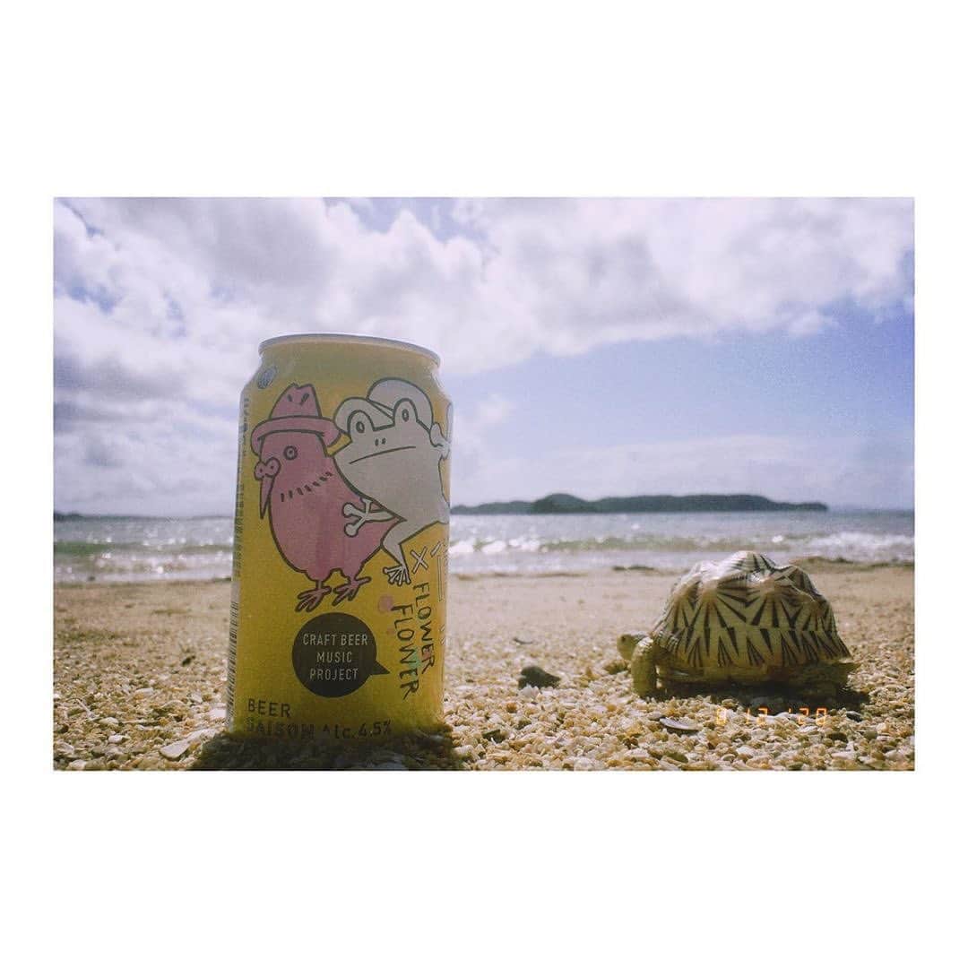 のインスタグラム：「#repost 🐸#ナイスなサマー SNS投稿キャンペーン当選者様を発表🐤  キャンペーンにご応募くださったみなさま、誠にありがとうございました！ 先日オンラインコラボイベントで、FLOWER FLOWERのおふたりと一緒に #ナイスサマー キャンペーンの投稿を選ばせていただきました。   本日、【特賞】と【副賞】計35点の投稿を「よなよなの里」の記事で一挙大公開いたします！ ナイスな夏の投稿の数々を、ぜひご覧ください🌻  受賞作品はこちらから🍻 https://yonasato.com/column/bokukimi_ff_3  👉 @yonayona.ale のプロフィール欄から飛べます  ／ 今回の投稿は、【特賞】に選ばれた  @usagi_usao さんの投稿をリポストさせていただきました🐢🍻 ＼    また、本日8/19(水)から、「僕ビール君ビール」と「FOWER FLOWER」のコラボソング、『はなうた』のCDが店頭発売開始！ 対象となるCDショップ / オンラインサイトにてお買い上げ頂いた方に、先着で特典もございます。 詳しくはFLOWER FLOWERの公式サイトをご覧くださいませ🍻  〰〰〰〰〰〰〰〰〰〰〰〰〰〰〰〰〰 #僕ビール君ビール　#FLOWERFLOWER . . #ビール #クラフトビール #家飲み #飲酒タグラム #宅飲み #呑み #ビール女子 #ビール好き #ビアスタグラム #ビールクズ #ビール大好き #ビール好きな人と繋がりたい #beer #craftbeer #cheers #instabeer #ビール部 #ヤッホーブルーイング #今日のビール #音楽 #自分時間 #はなうた #夏 #夏休み #サマー」