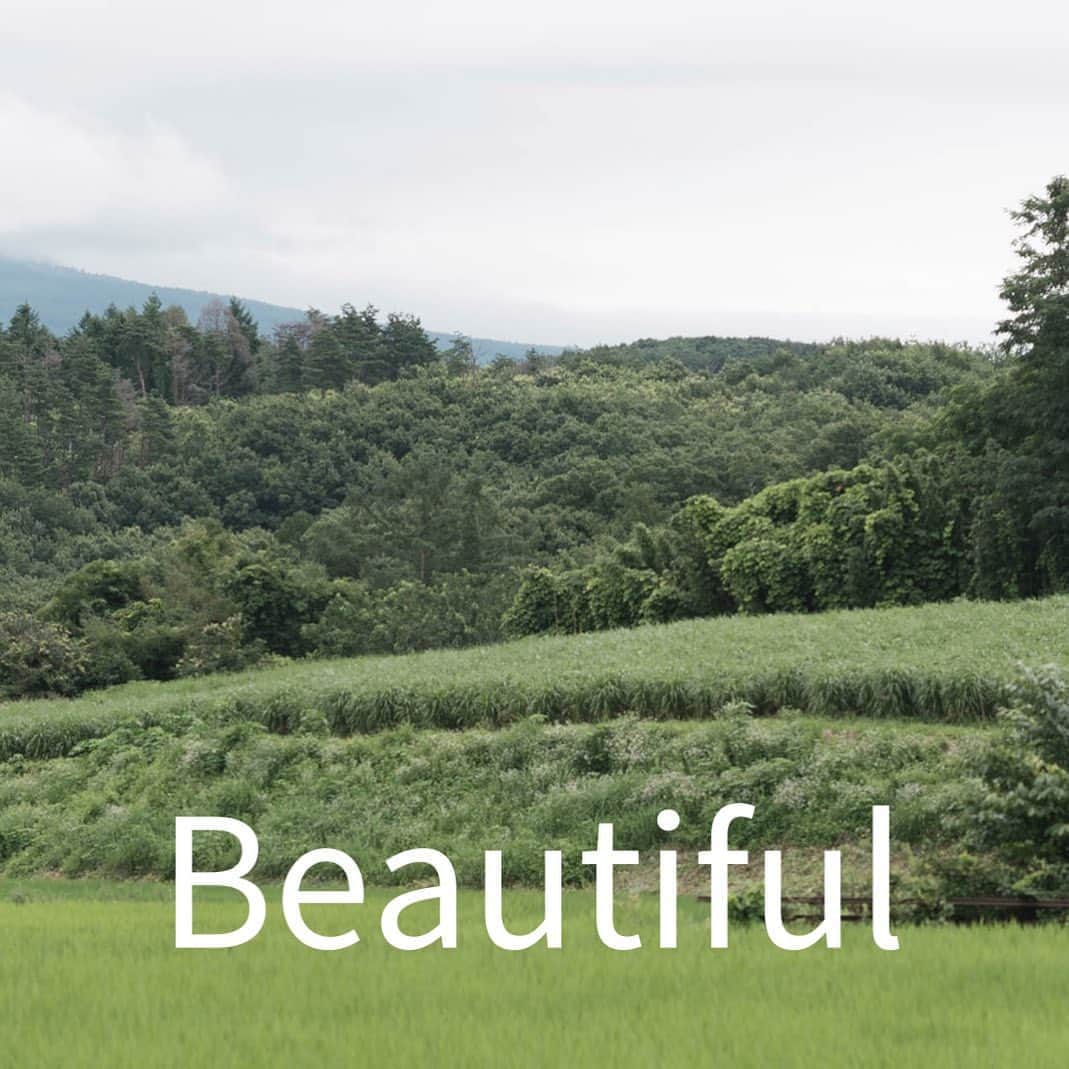 ヒラハルのグルメインスタ