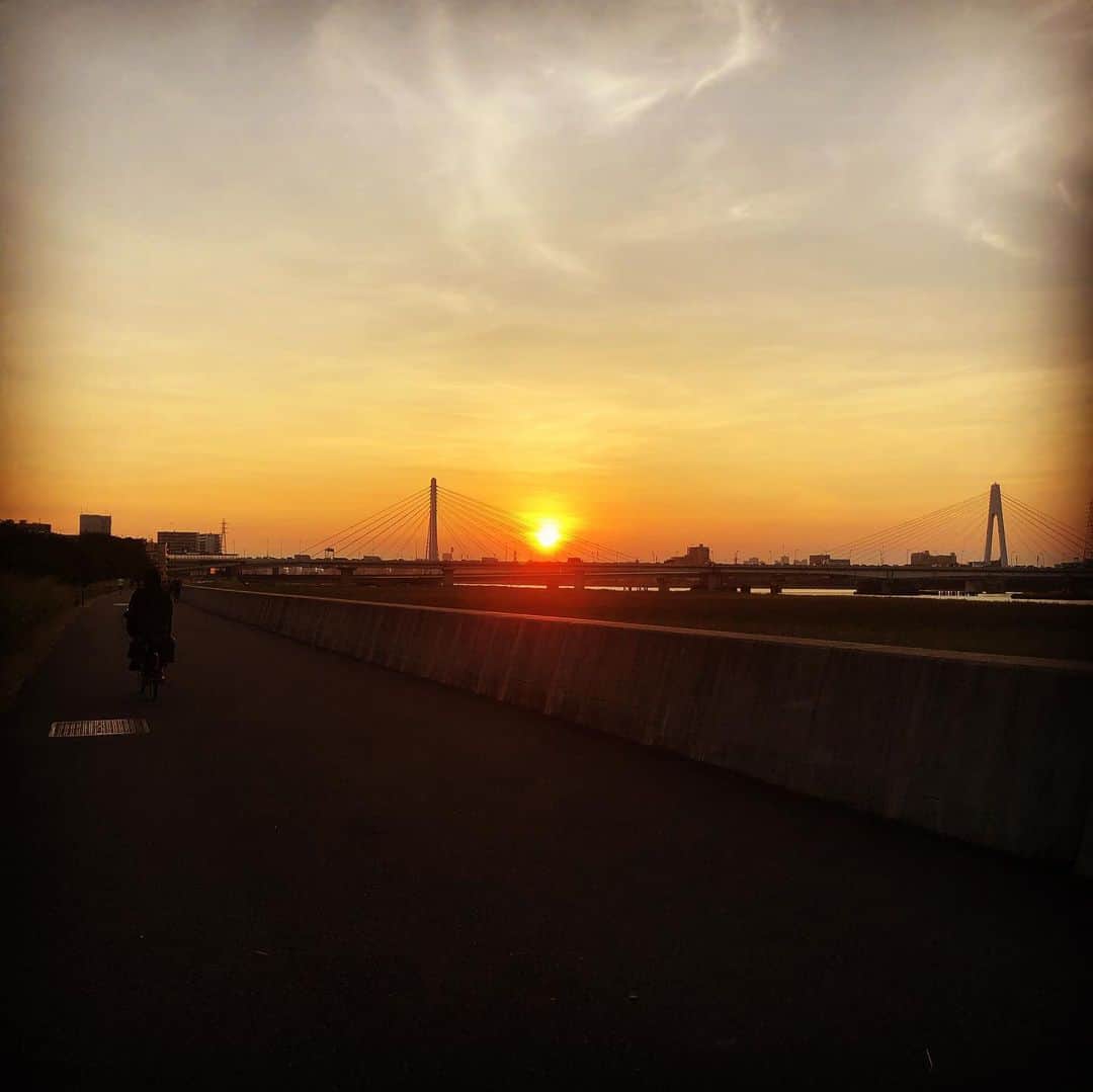 伊東先生さんのインスタグラム写真 - (伊東先生Instagram)「最高のサンセットにちっとも興味を示さな犬  #おさんぽ #多摩川 #柴犬 #sunset #夕陽 #夕焼け」8月19日 18時35分 - itou.t