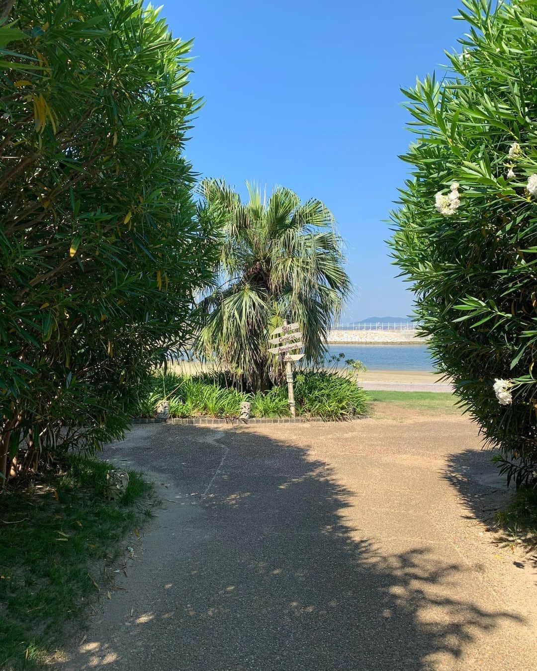 17人をフォロー中 【結婚式場】ラヴィマーナ神戸ウエディングのグルメインスタ