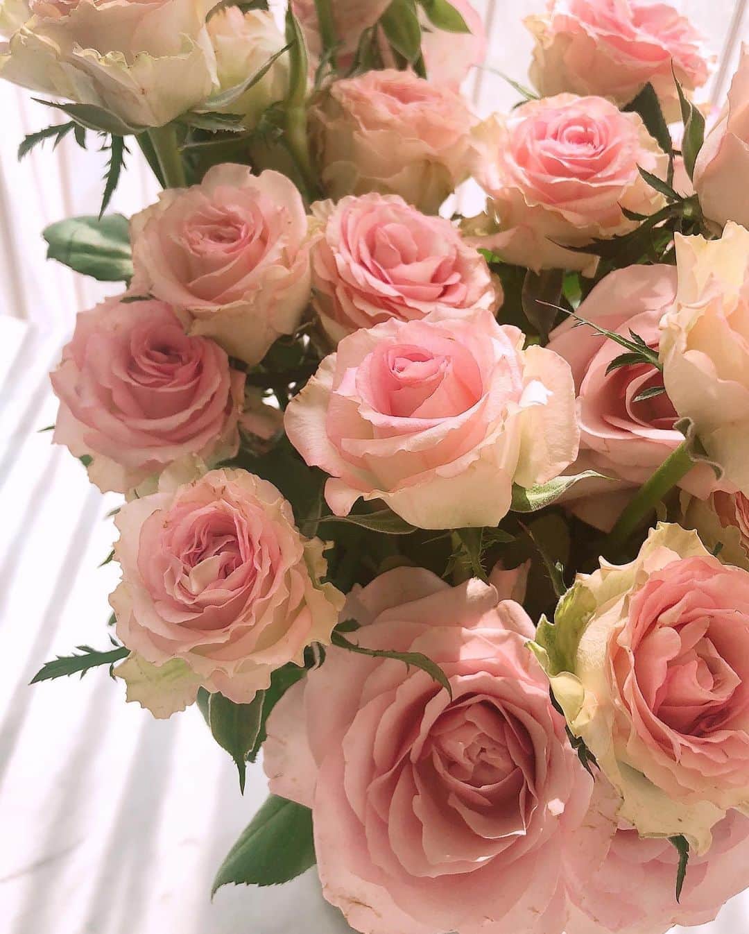 加治ひとみさんのインスタグラム写真 - (加治ひとみInstagram)「撮影現場でお花を頂いたの😆💐🌈💕  幸せな1日だったのでみんなにも幸せのお裾分け😘❤️❤️ お花って見てるだけで笑顔になれるね💕✨ #flowers  @samantha.thavasa_official」8月19日 19時04分 - kaji_26