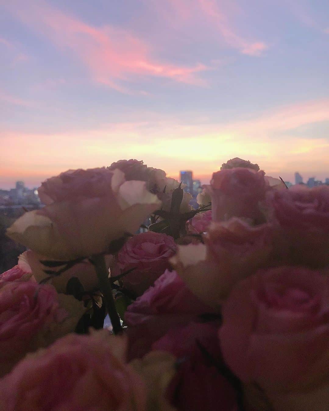 加治ひとみさんのインスタグラム写真 - (加治ひとみInstagram)「撮影現場でお花を頂いたの😆💐🌈💕  幸せな1日だったのでみんなにも幸せのお裾分け😘❤️❤️ お花って見てるだけで笑顔になれるね💕✨ #flowers  @samantha.thavasa_official」8月19日 19時04分 - kaji_26