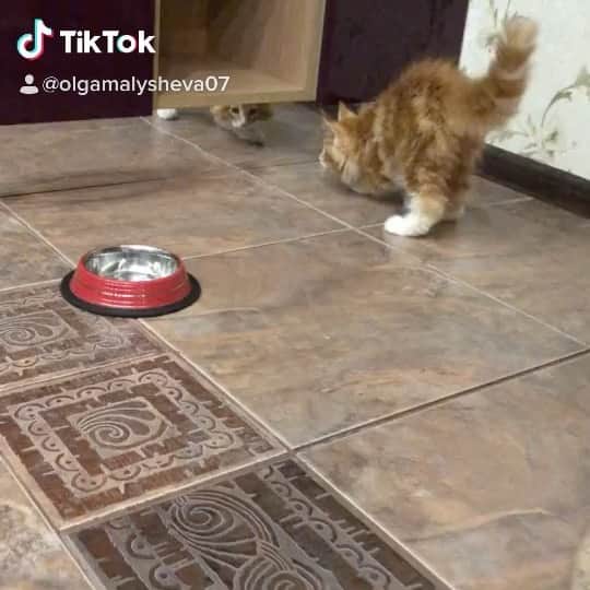 のインスタグラム