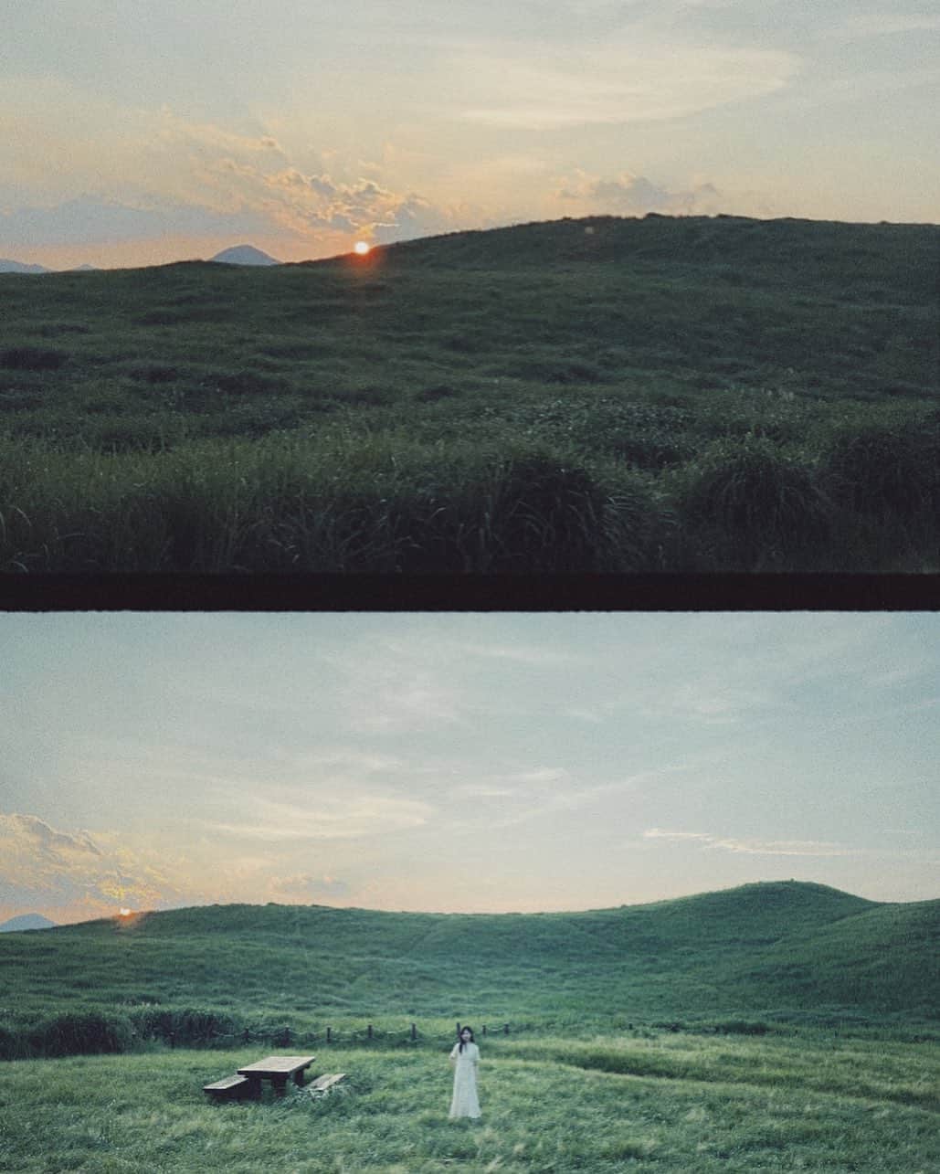 のインスタグラム：「🌾 自然感じに高原行ったら、幻想的な歌手フォレのMVにありそうな写真撮れた」