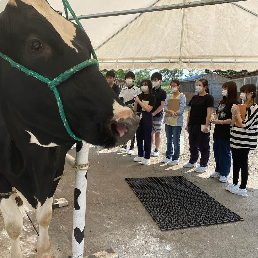 札幌ベルエポック製菓調理専門学校【公式】のグルメインスタ