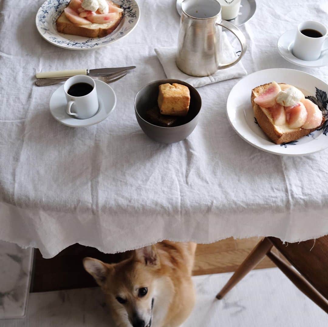 maggydaisyのインスタグラム：「_  桃もりもりトースト バニラアイス乗せ  この顔、デイジーによく似てる。  #breakfast #antiques #antique #石川隆児」