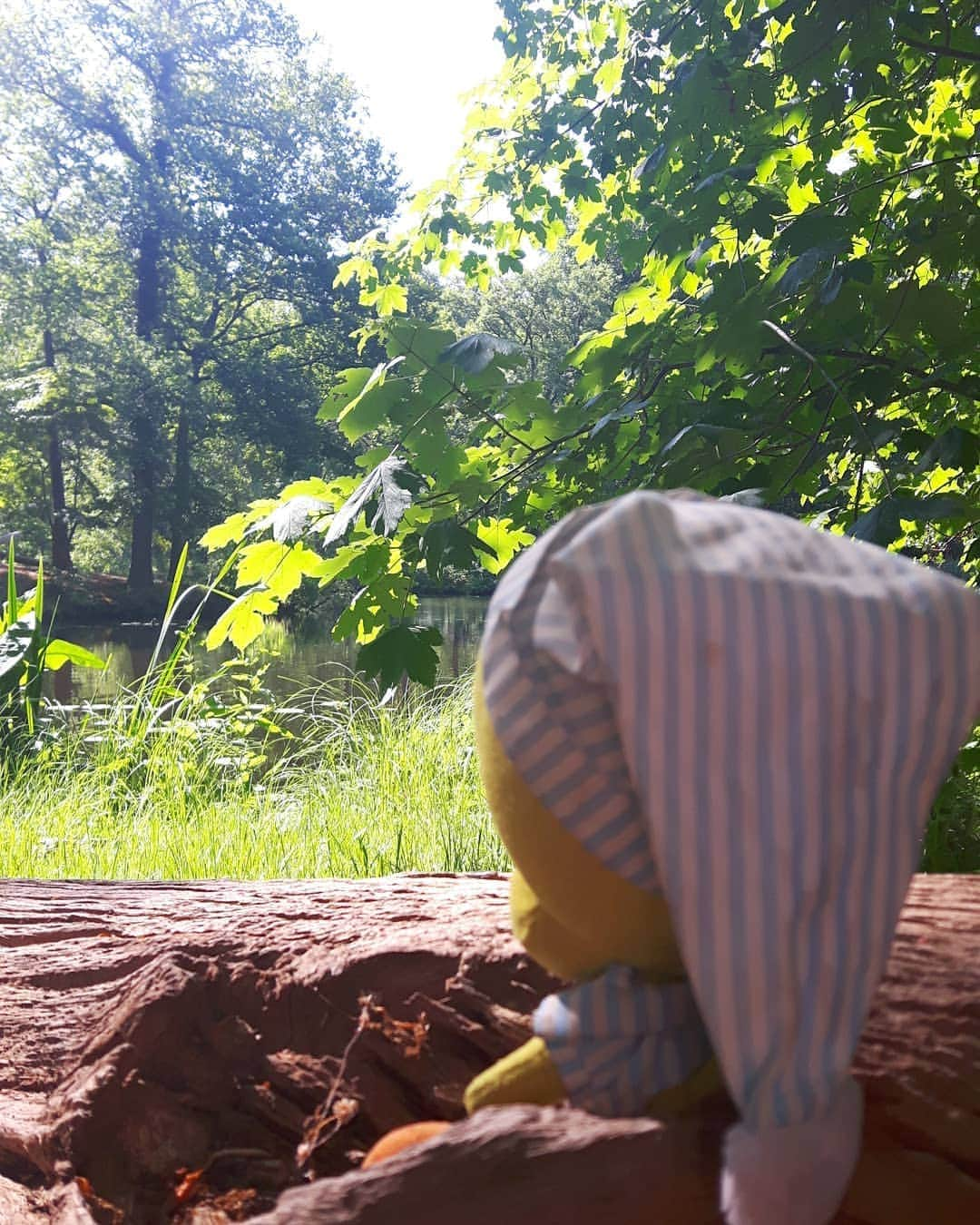 Little Yellow Birdさんのインスタグラム写真 - (Little Yellow BirdInstagram)「Just sitting and enjoying nature on this beautiful August day... #littleyellowbird #tweety #tweetykweelapis #adventures #yellow #bird #wednesday #humpday #summer #zomer #august #augustus #walking #outdoors #nature #sun #sunnyday #stuffedanimalsofinstagram #plushiesofinstagram」8月19日 22時09分 - tweetykweelapis