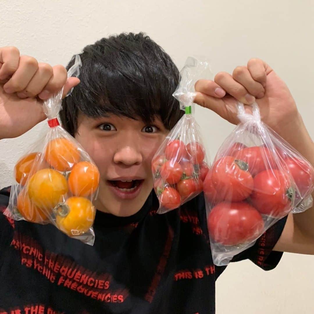 鈴木福さんのインスタグラム写真 - (鈴木福Instagram)「トマト！！！ いつもお世話になっているロケバスの運転手さんが届けてくれました！  大好物のトマト。 トマトを食べると元気が出るし、体が整う気がします！！  #トマト#大好物#おいしかった」8月19日 22時46分 - s_fuku_te
