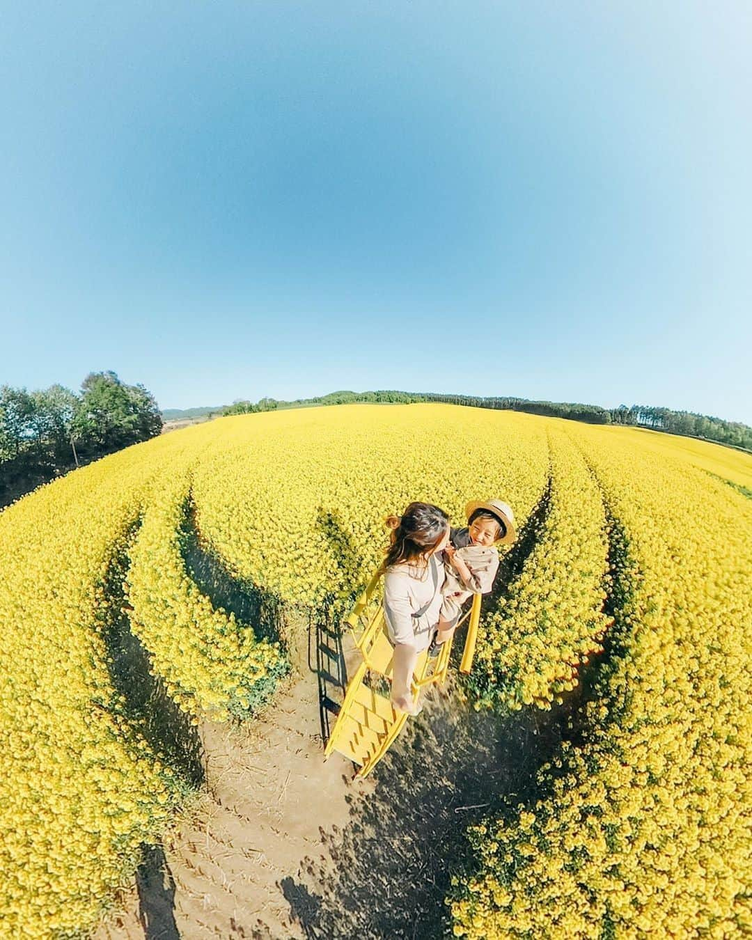 Official RICOH THETAさんのインスタグラム写真 - (Official RICOH THETAInstagram)「Incredible places call for incredible photos! 🌼 Celebrate #WorldPhotoDay and capture life's moments in 360º with our THETA cameras. 📸: @minatymom103 . . . . . #ricohusa #ricoh #ricohimaging #theta360 #lifein360 #360camera #photooftheday #photographer #floralphotography #flowers #picoftheday #flowerphotography #cameralover #flowerfields #familyphotos」8月19日 23時15分 - theta360official