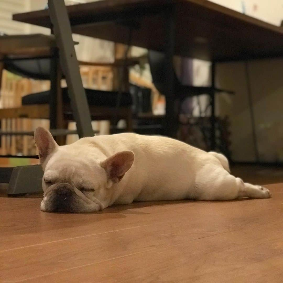 父べえさんのインスタグラム写真 - (父べえInstagram)「😪」8月19日 23時33分 - fukubee