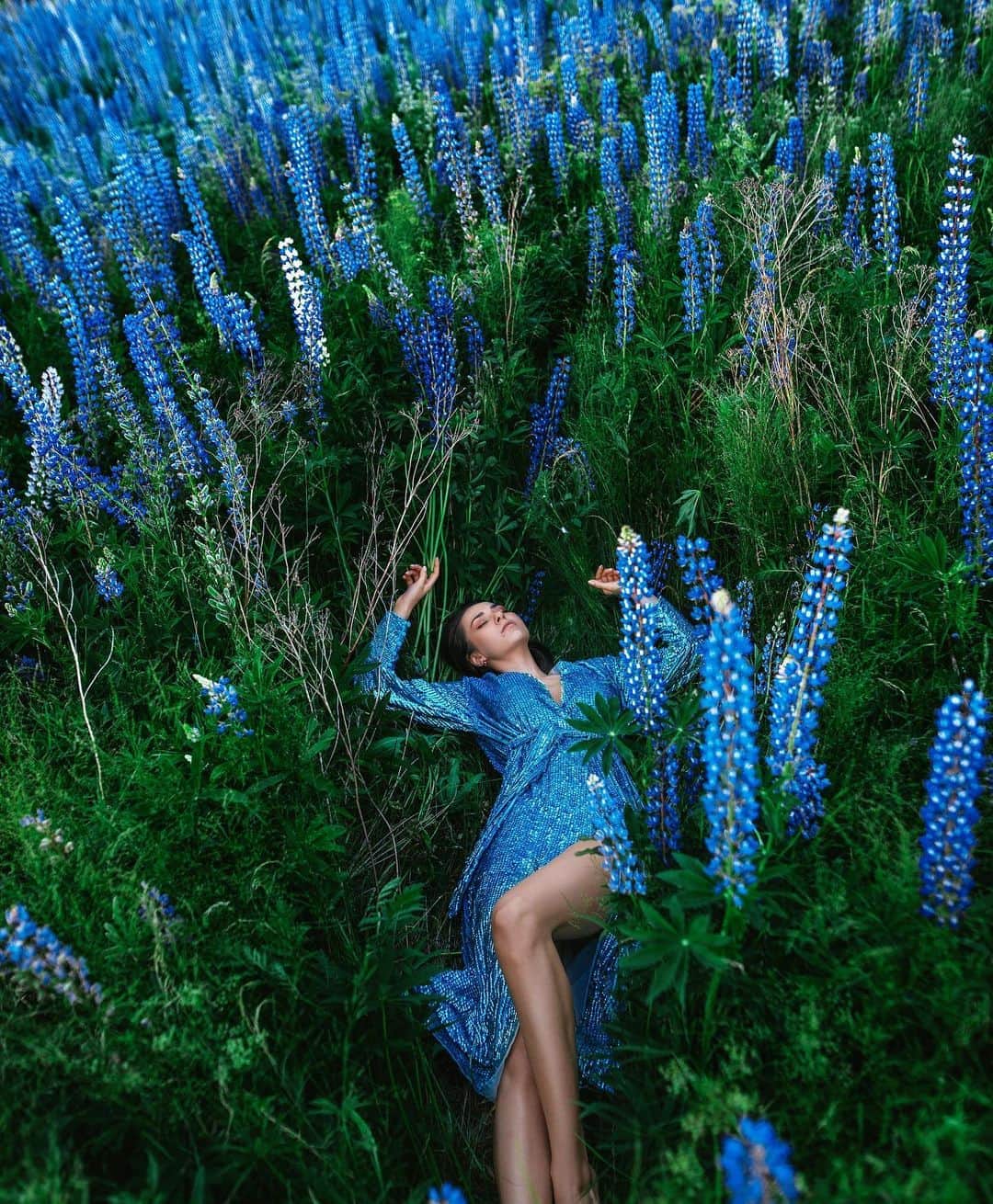 のインスタグラム：「"The men where you live," said the little prince, "raise five thousand roses 🌹🌹🌹 in the same garden — and they do not find in it what they are looking for." "They do not find it," I replied. "And yet what they are looking for could be found in one single rose ❤️..."」