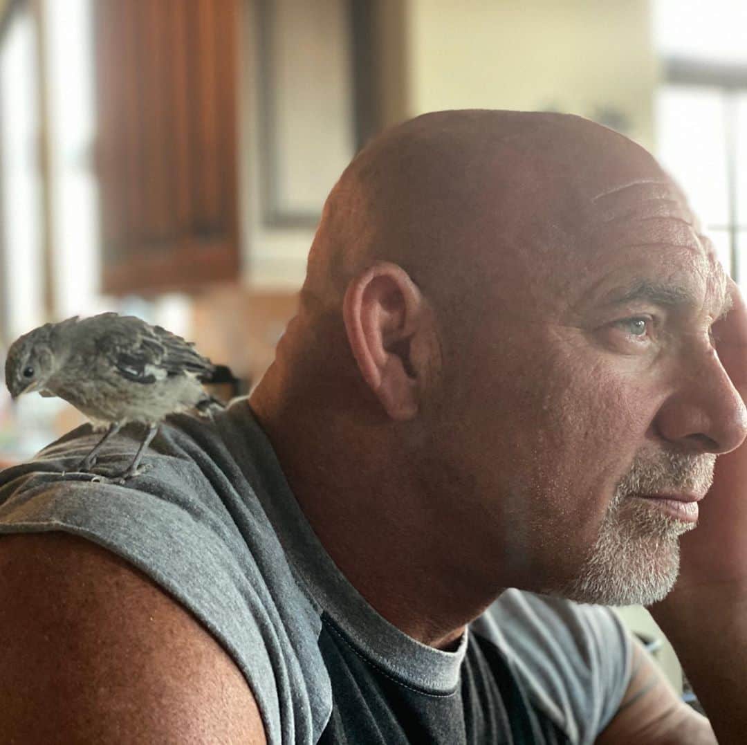 ビル・ゴールドバーグのインスタグラム：「....Bob’s progression is quite remarkable ..... now it’s on me to lose some weight and teach him how to get airborne !!! 😂 #Texas #nature #wesavedanotherone #spear #jackhammer #whosnext #goldbird @goldbergsgarage @metrongarage #bekind」