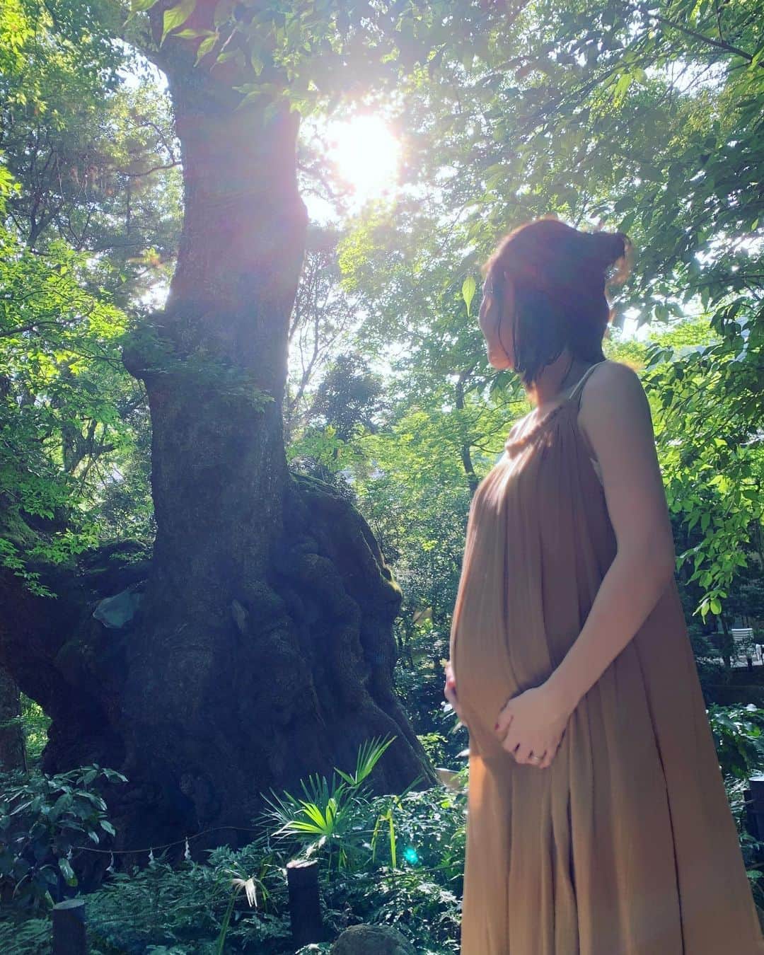 萩中ユウさんのインスタグラム写真 - (萩中ユウInstagram)「長寿の神木のエネルギーを頂きに行ったら、木漏れ日がとても綺麗でした🌿﻿ ﻿ #お腹大きくなりました﻿ ﻿」8月19日 23時48分 - yu_haginaka